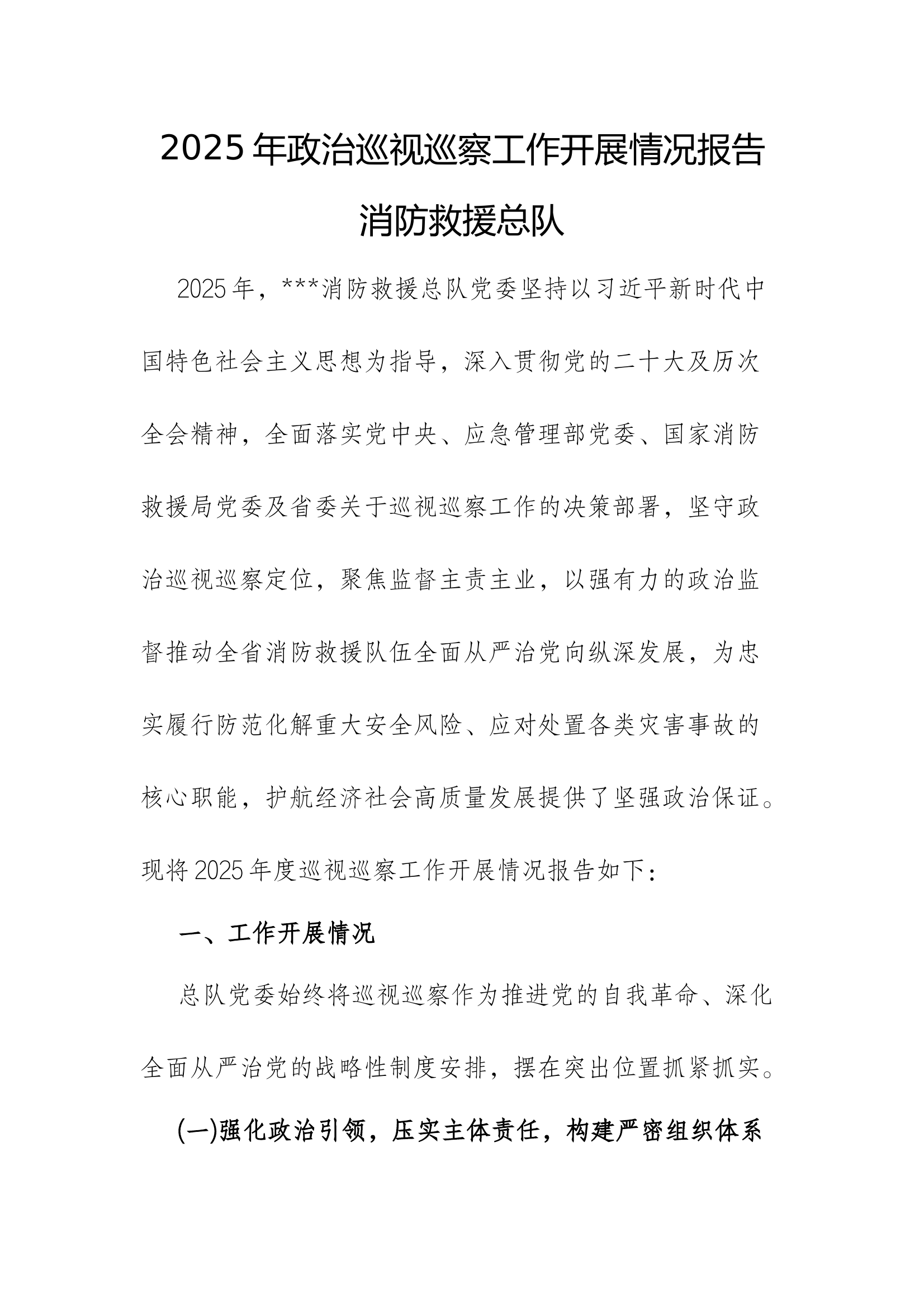 2025年消防救援总队巡视巡察工作开展情况报告 第1页