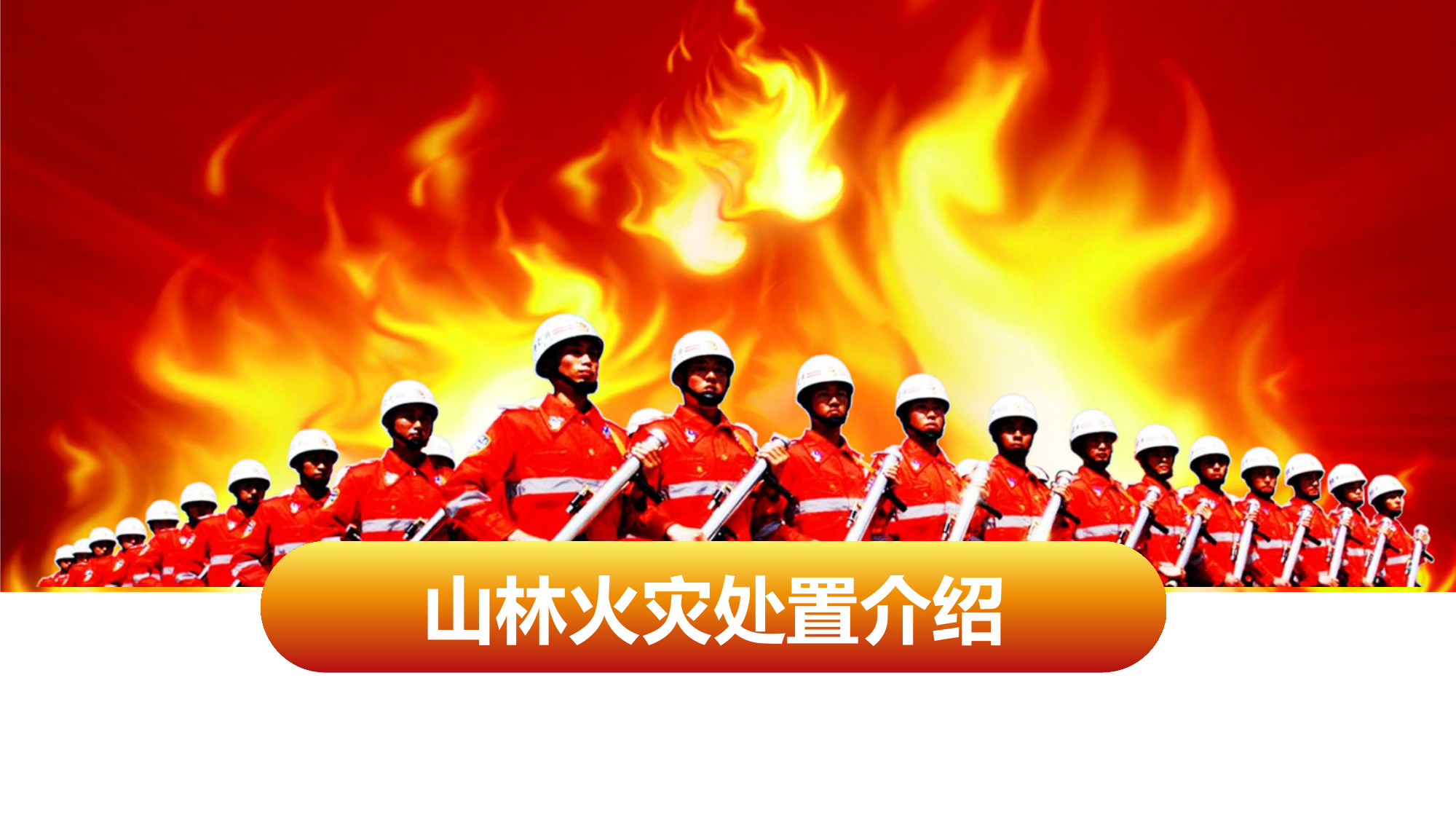 山林火灾处置介绍.pptx 第1页