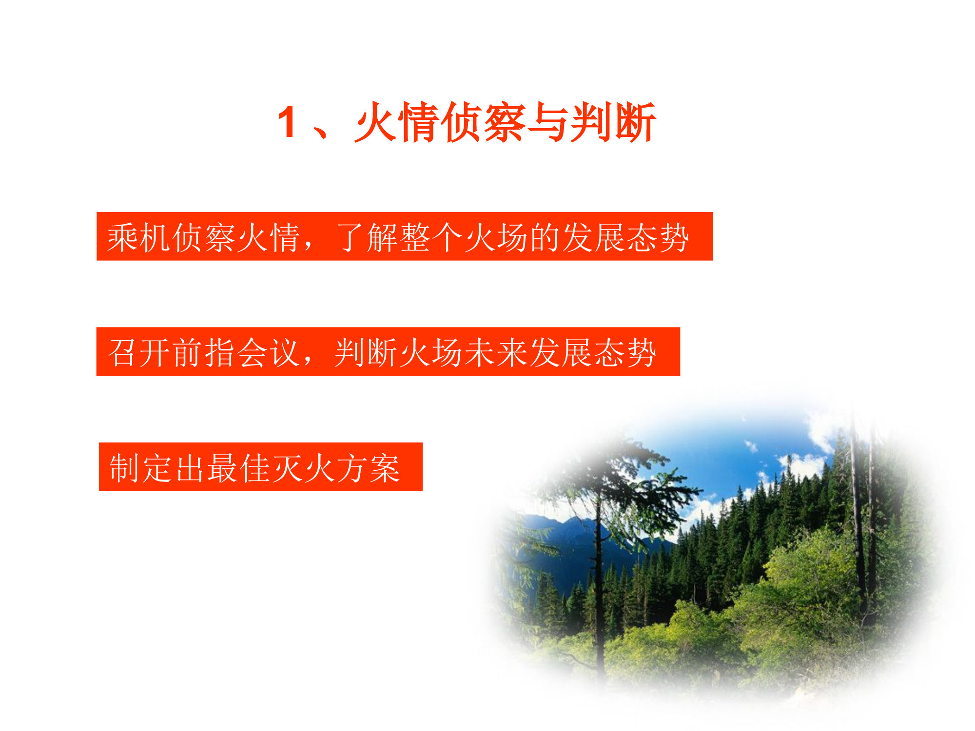 重大以上森林火灾的指挥与扑救1.pptx 第2页