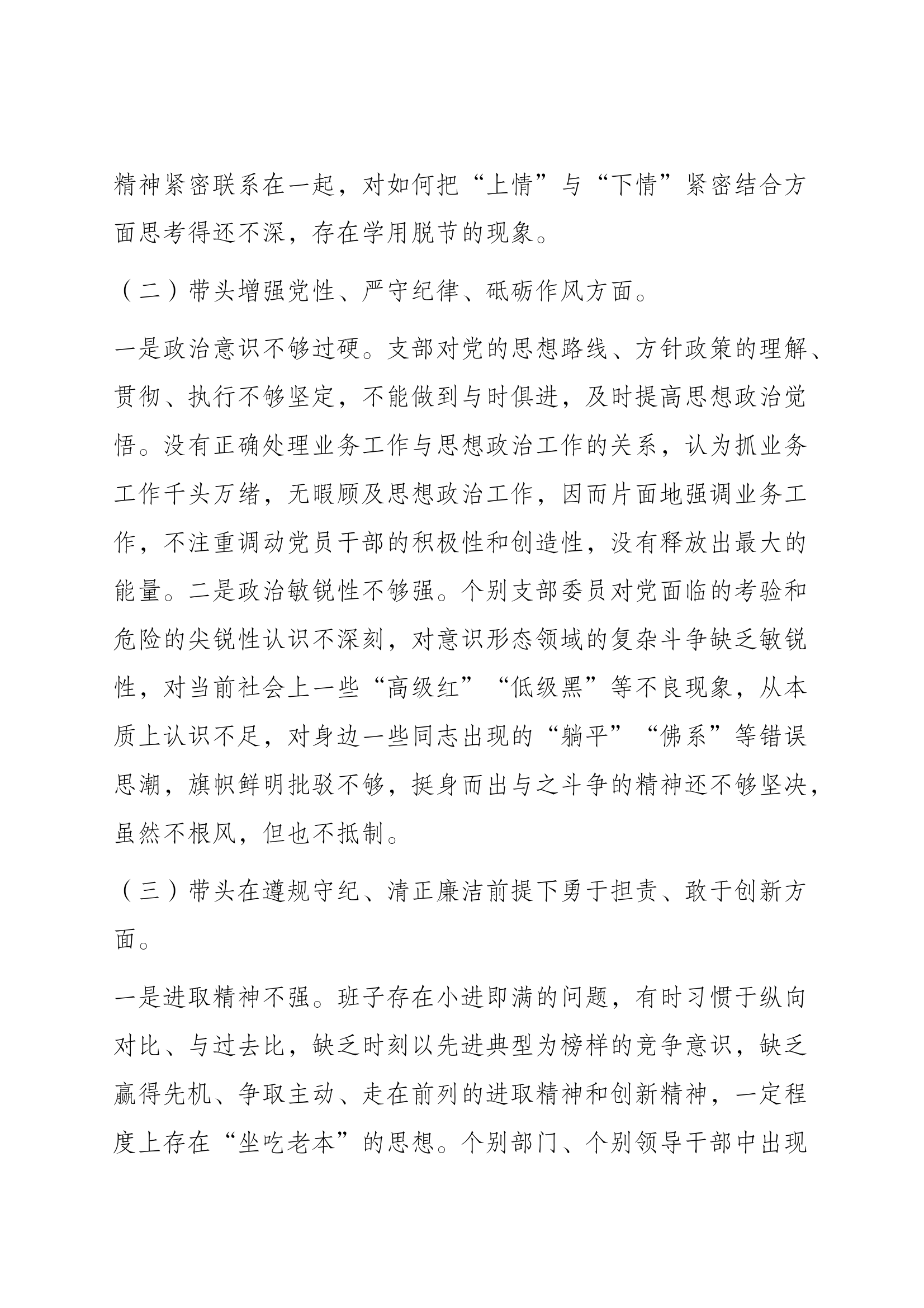 2024年度组织生活会支部对照检查材料（“四个带头”） 第2页