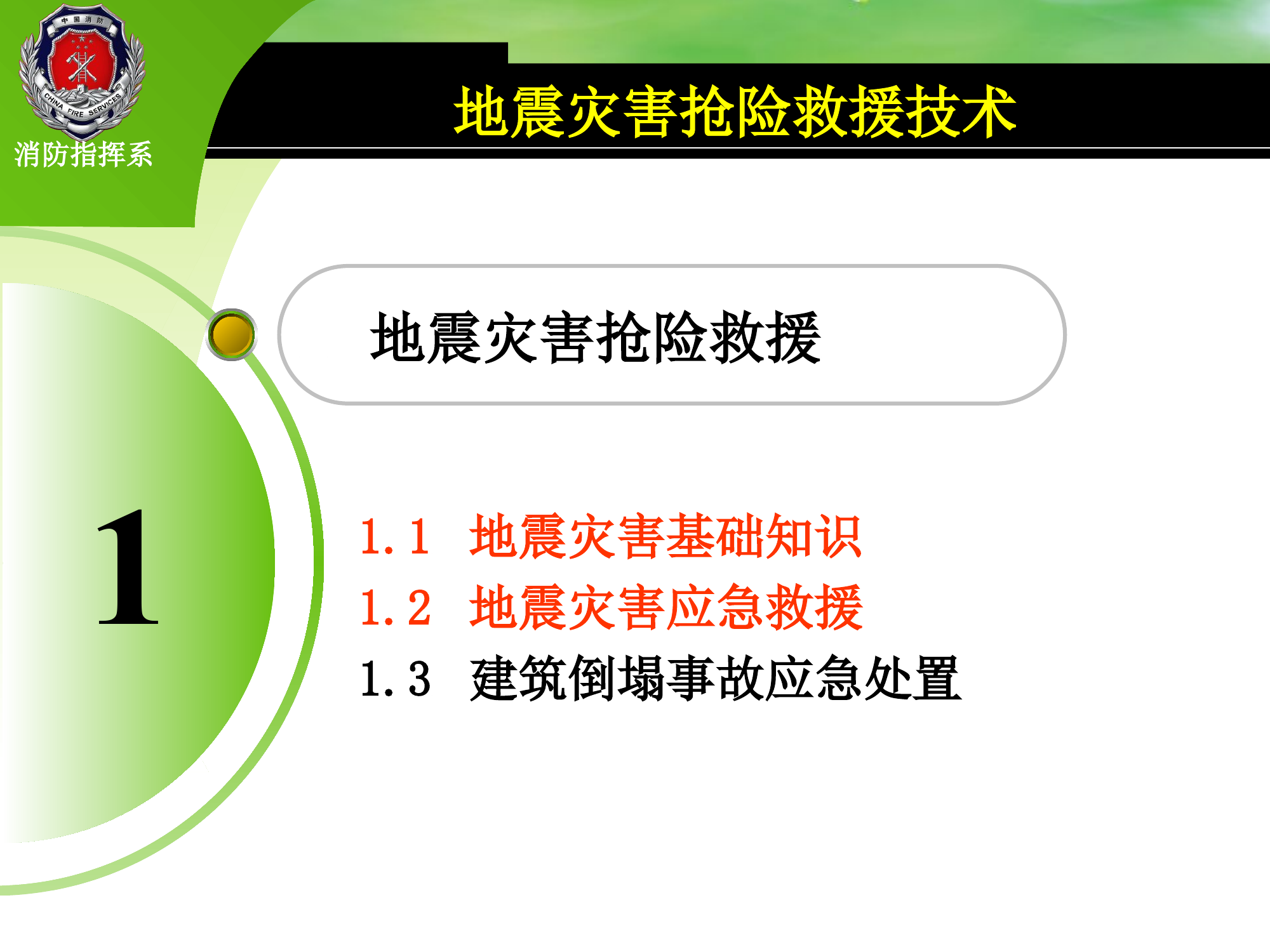 地震灾害抢险救援.ppt 第2页