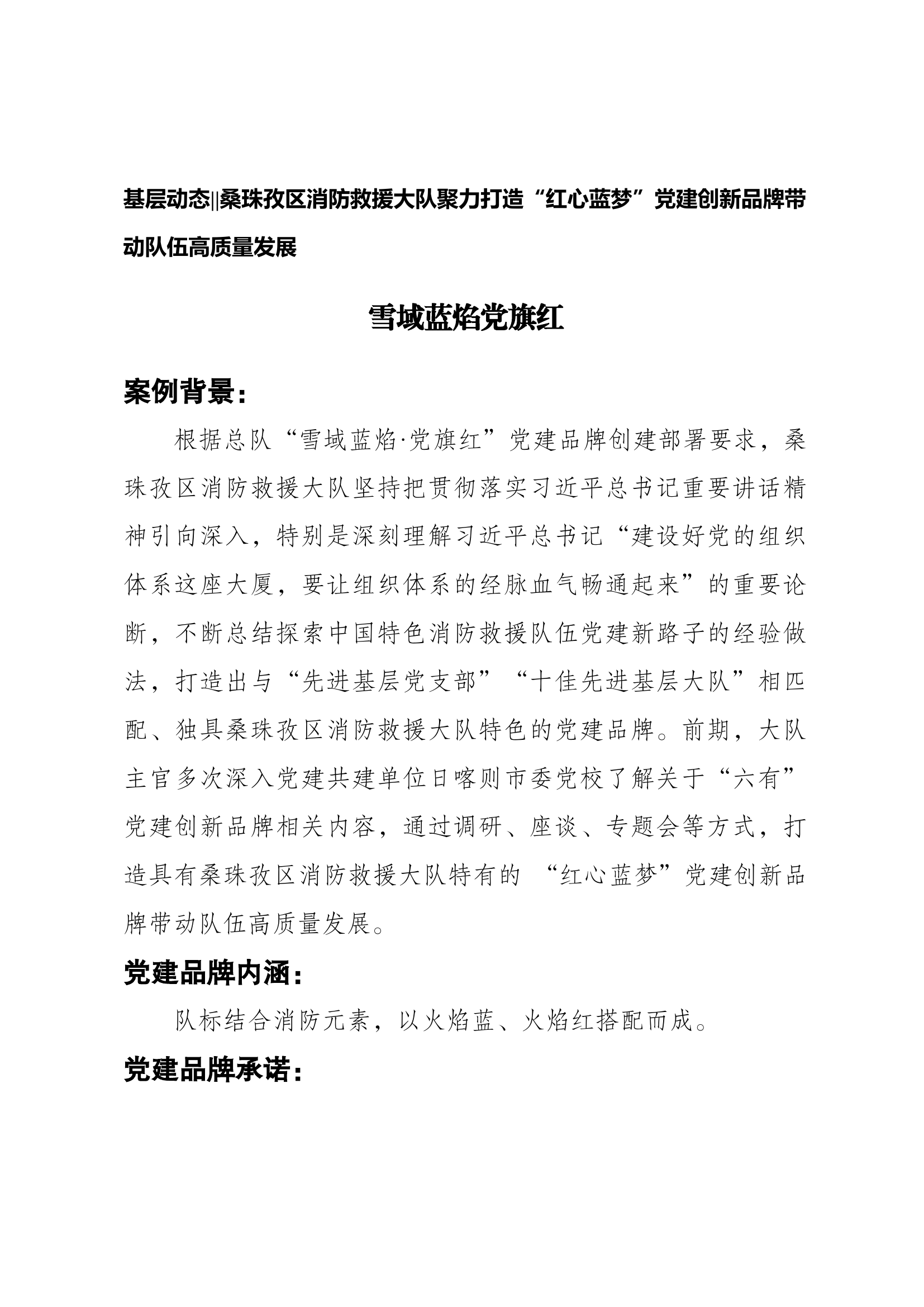 雪域蓝焰党旗红党建品牌创建方案.docx 第1页