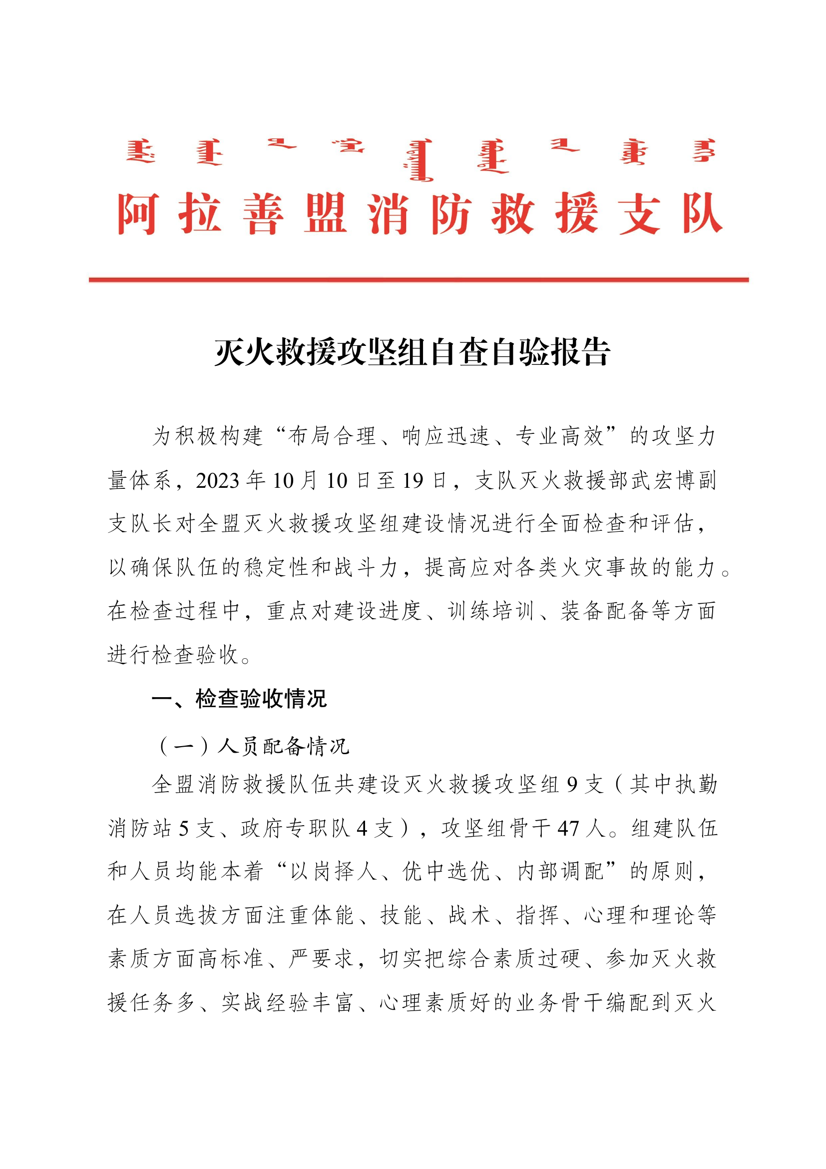 灭火救援攻坚组自查自验报告.docx 第1页