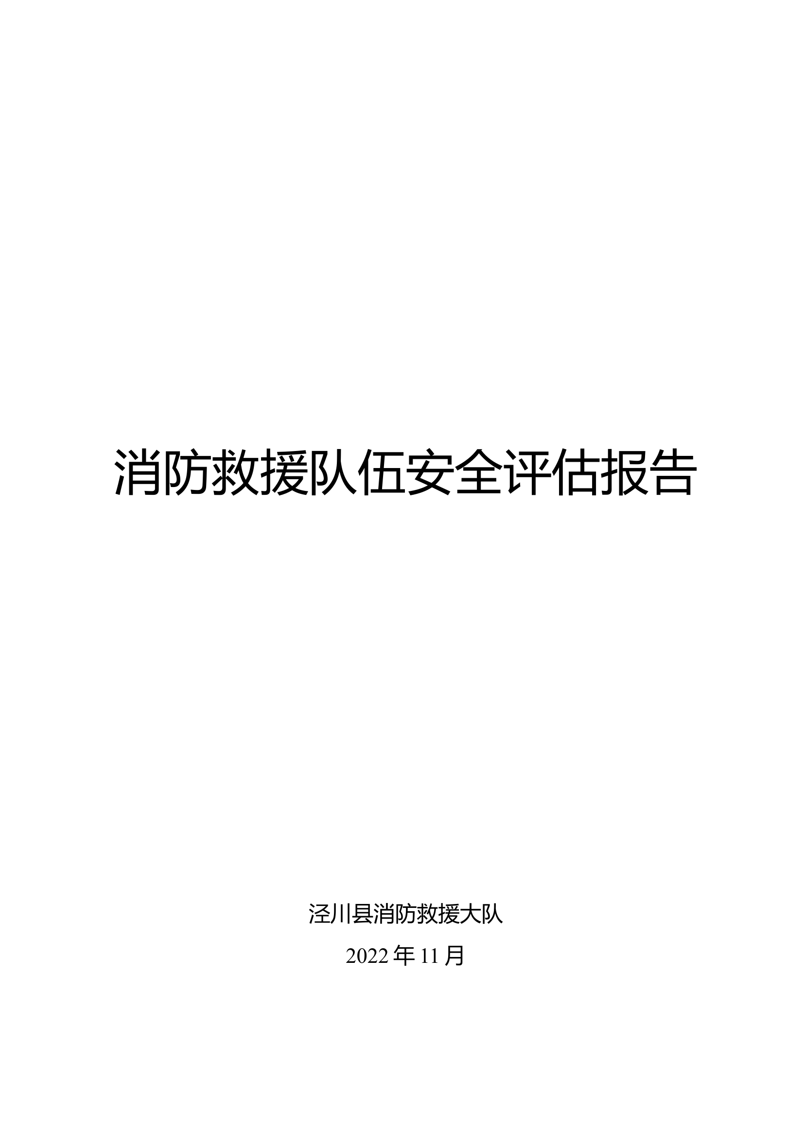 消防救援队伍安全评估报告.doc 第1页