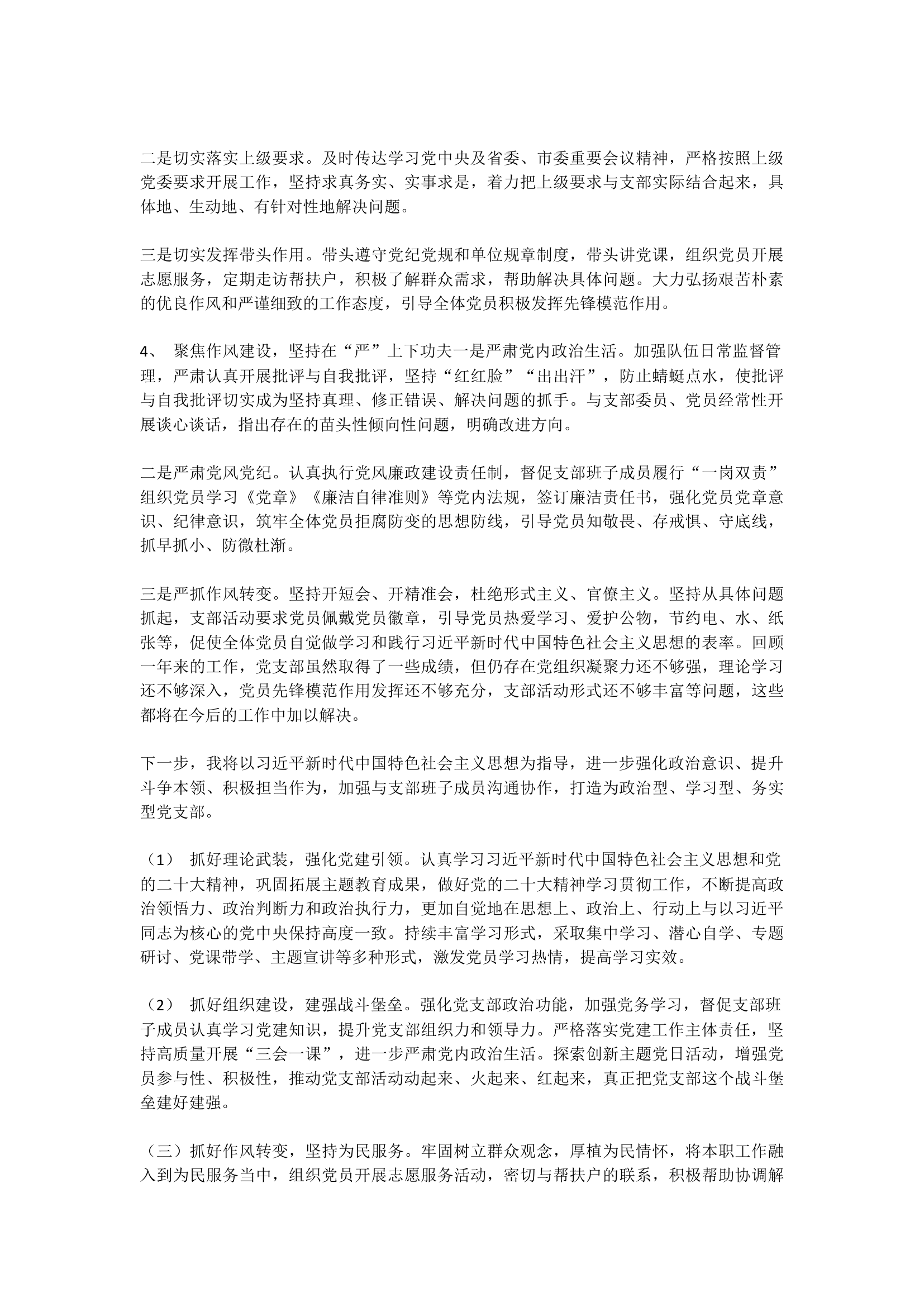 2023党支部书记基层党建工作述职报告.docx 第2页