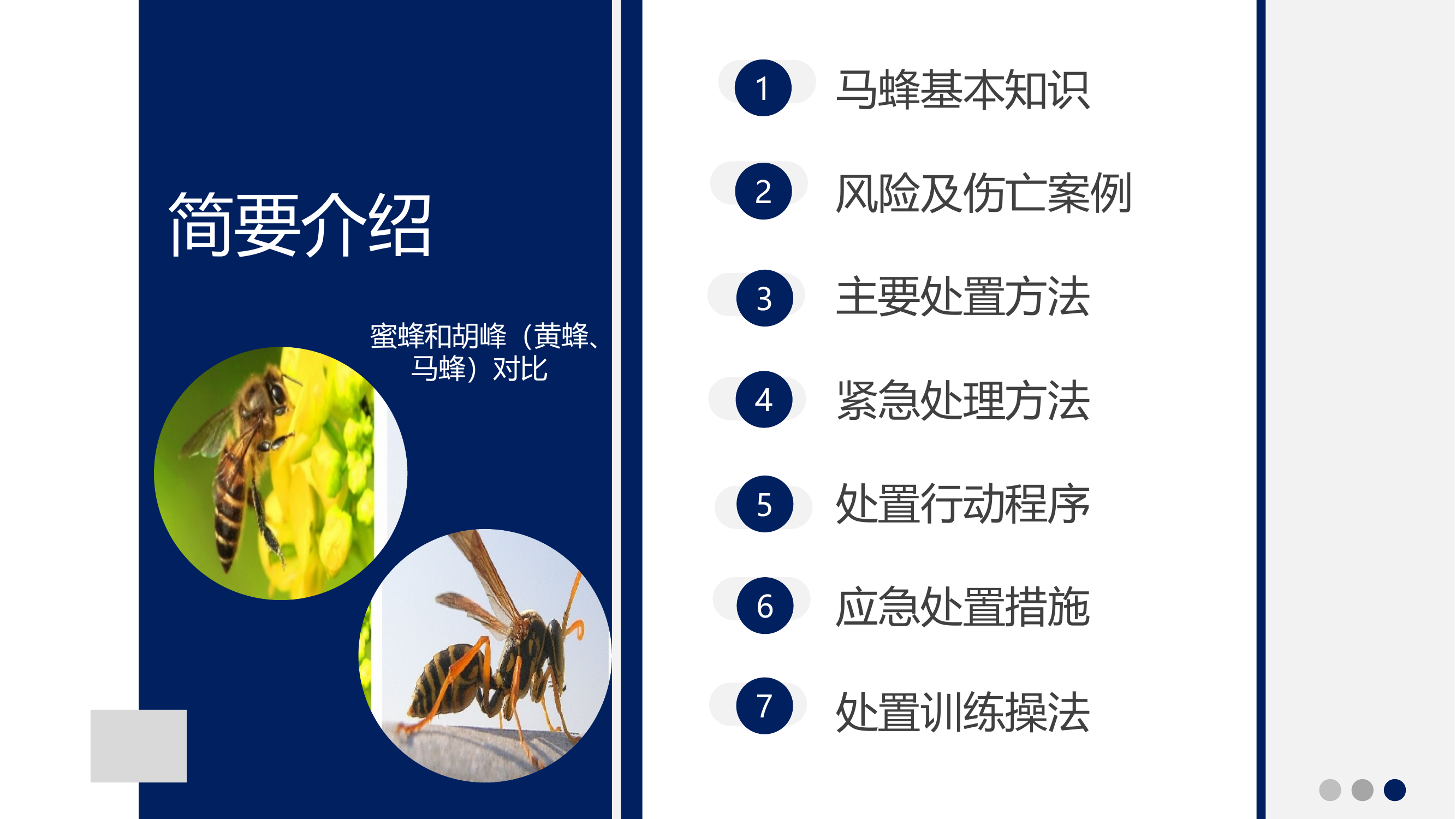 摘除马蜂窝救援行动安全初探 第2页