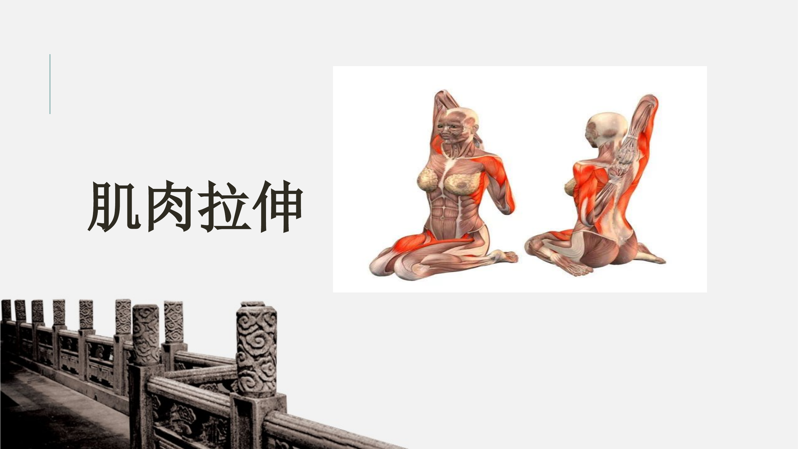 肌肉拉伸 第1页