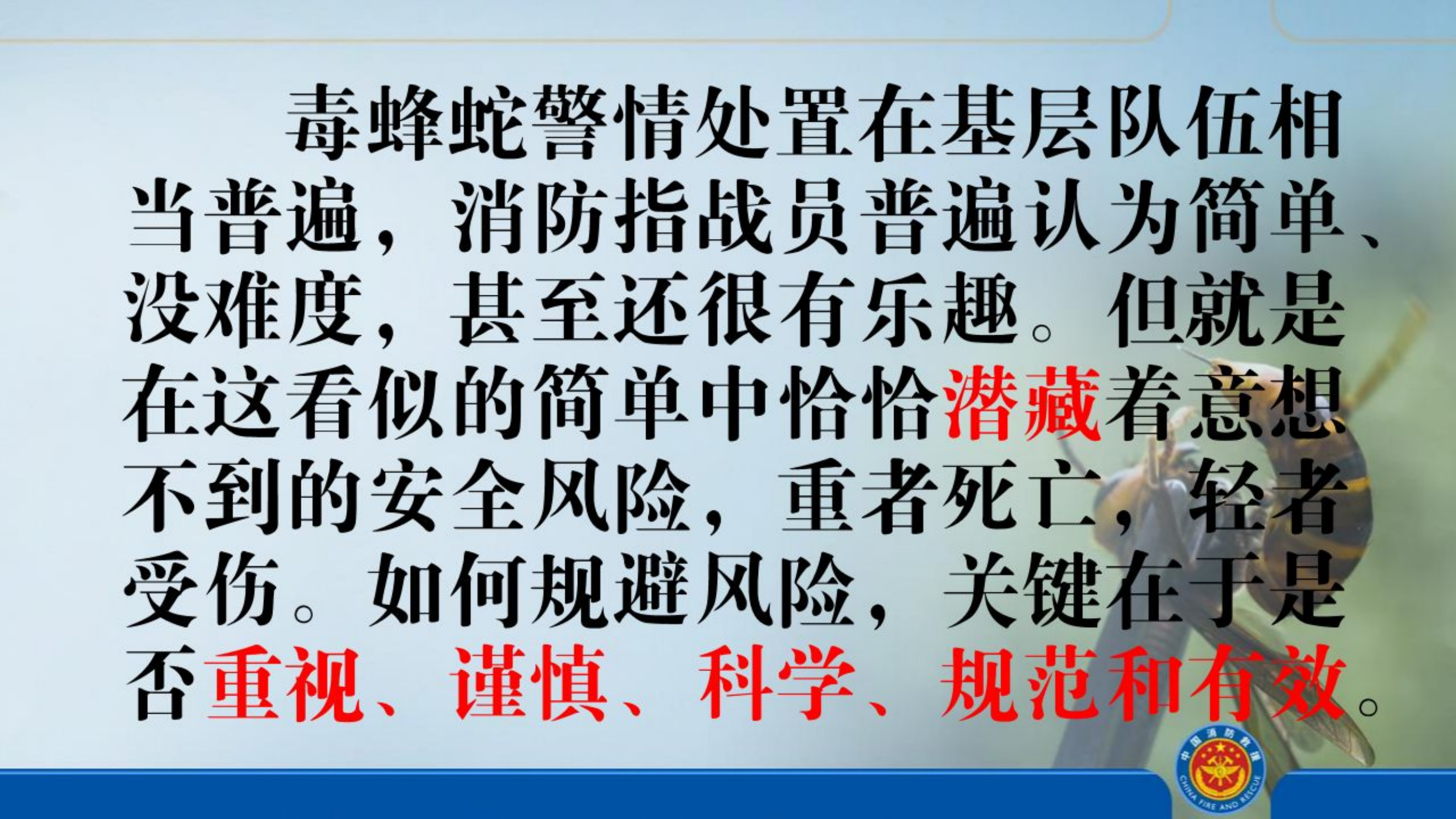 社会救助警情处置（毒蜂蛇）.pptx 第2页