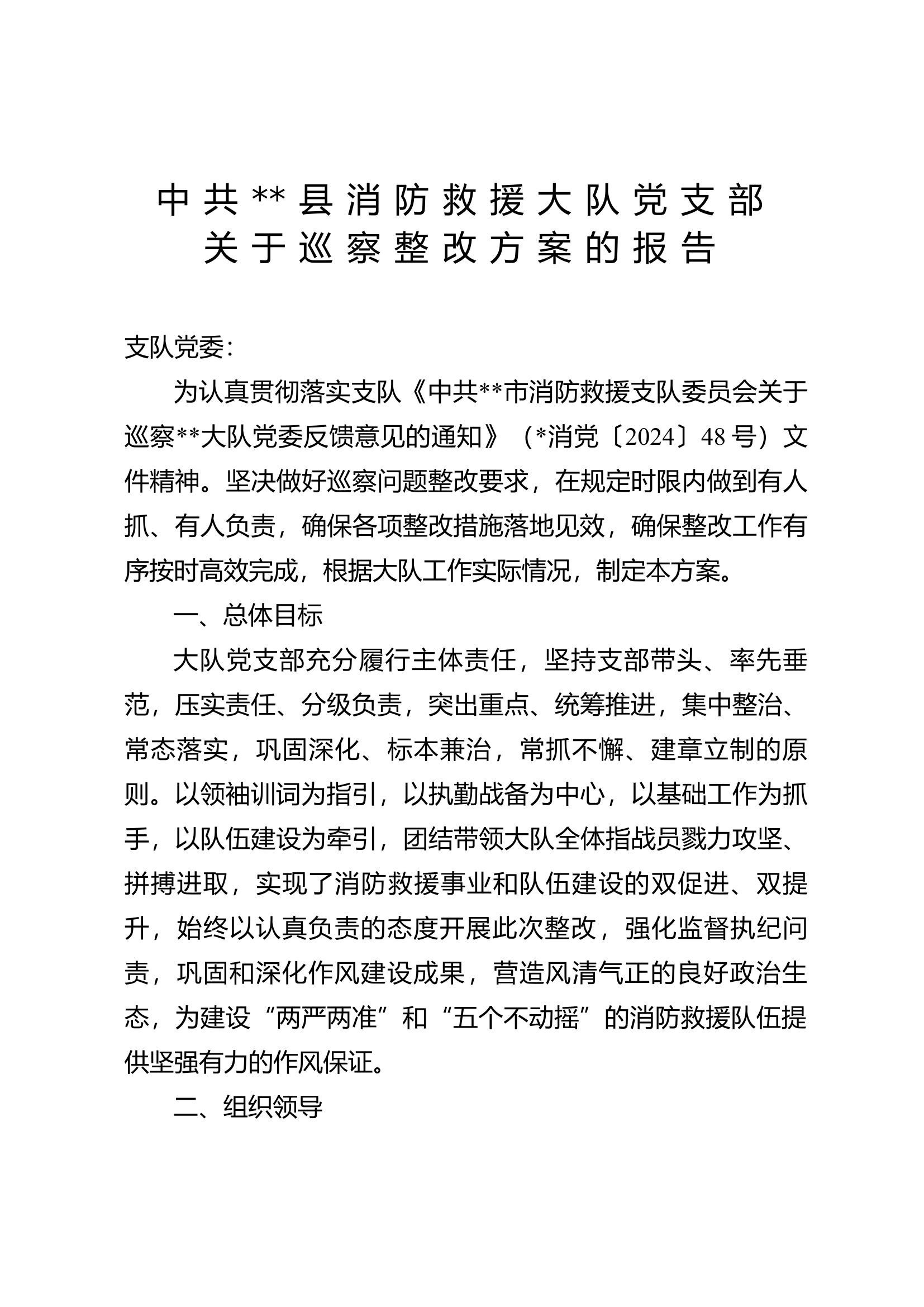 巡察整改方案.docx 第1页