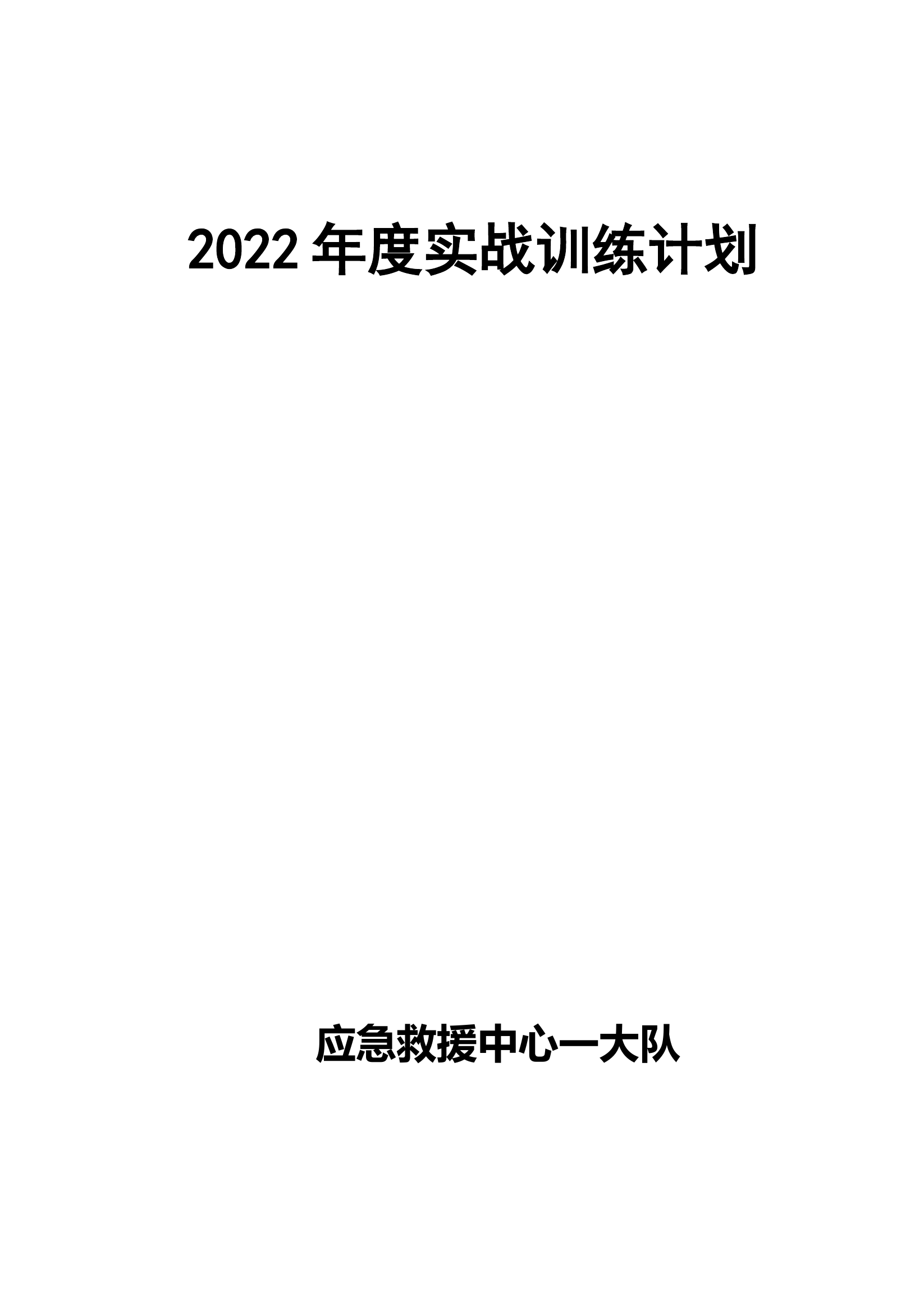 2022年大队训练计划.docx 第1页