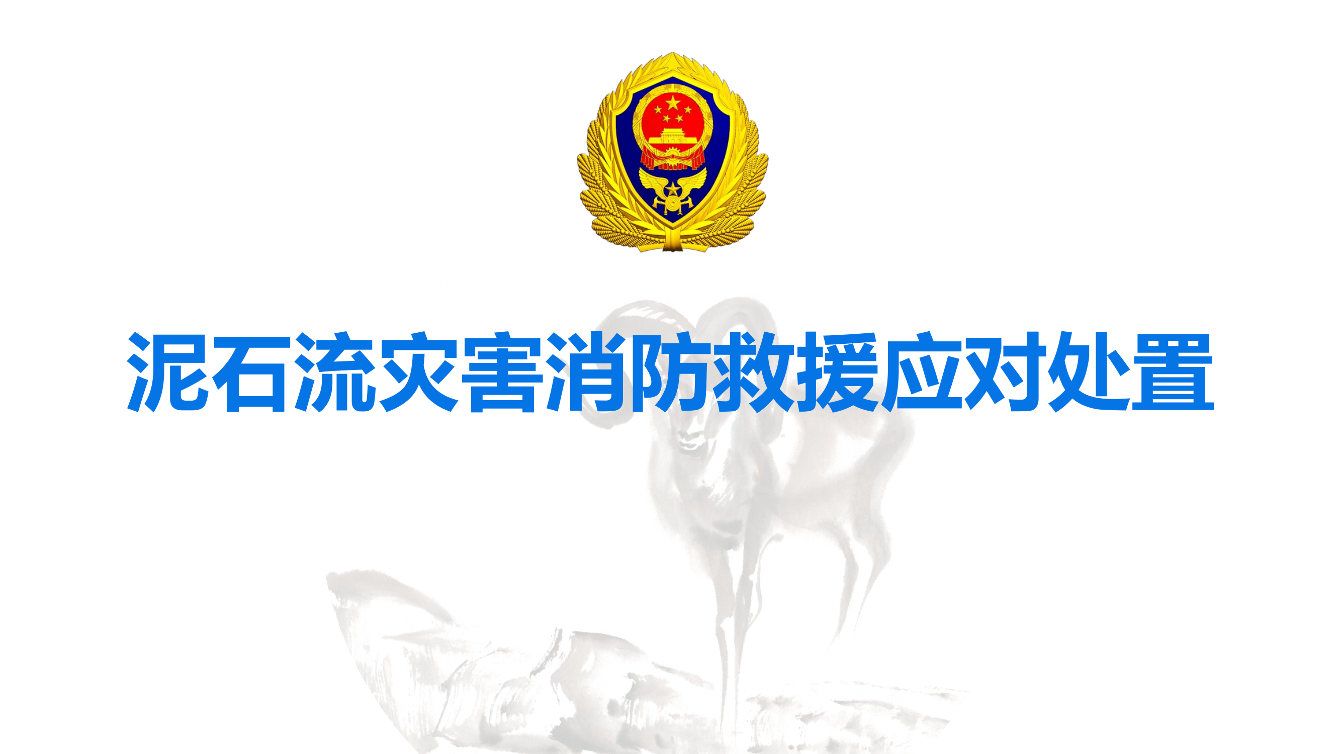 消防救援-泥石流灾害救援处置授课课件.pptx 第1页