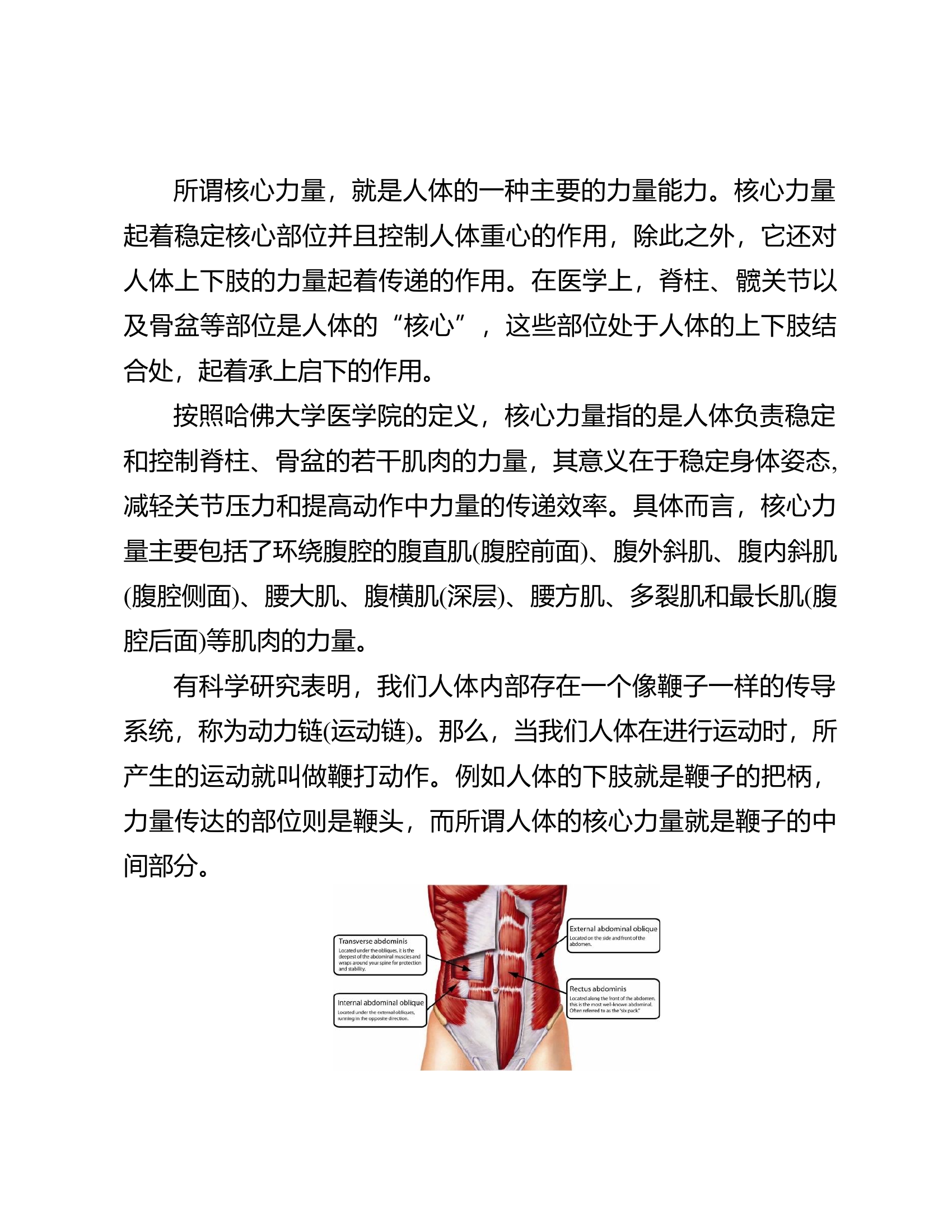 核心力量训练在消防员力量训练中的作用.docx 第2页