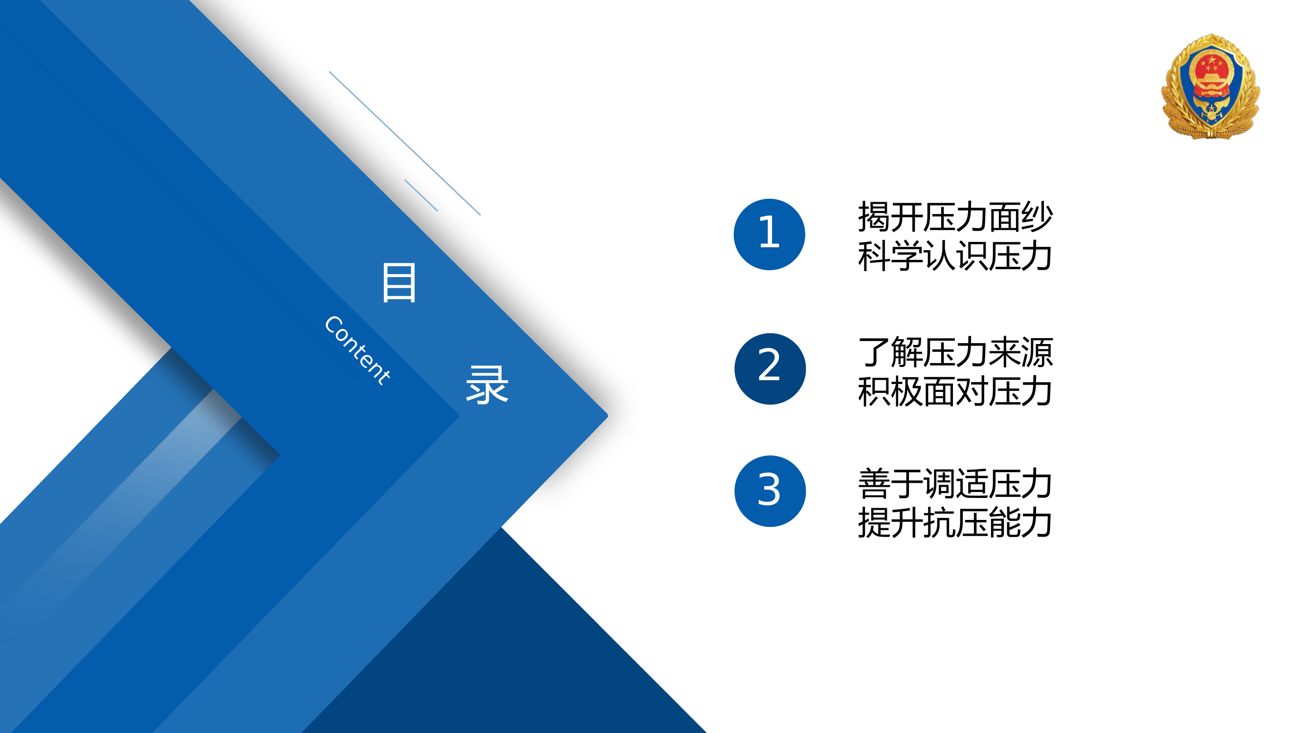 积极调适压力，走出痛苦困境.pptx 第2页