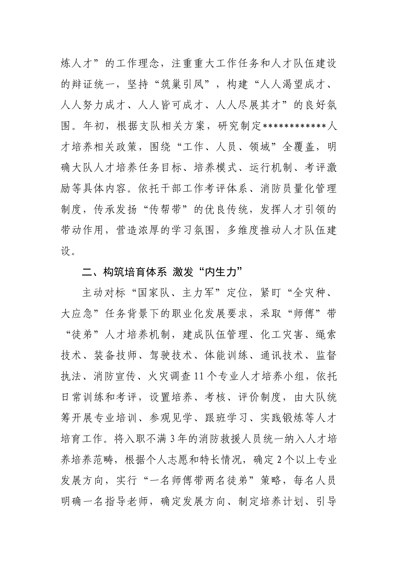 大队人才培养总结（高质量）.docx 第2页