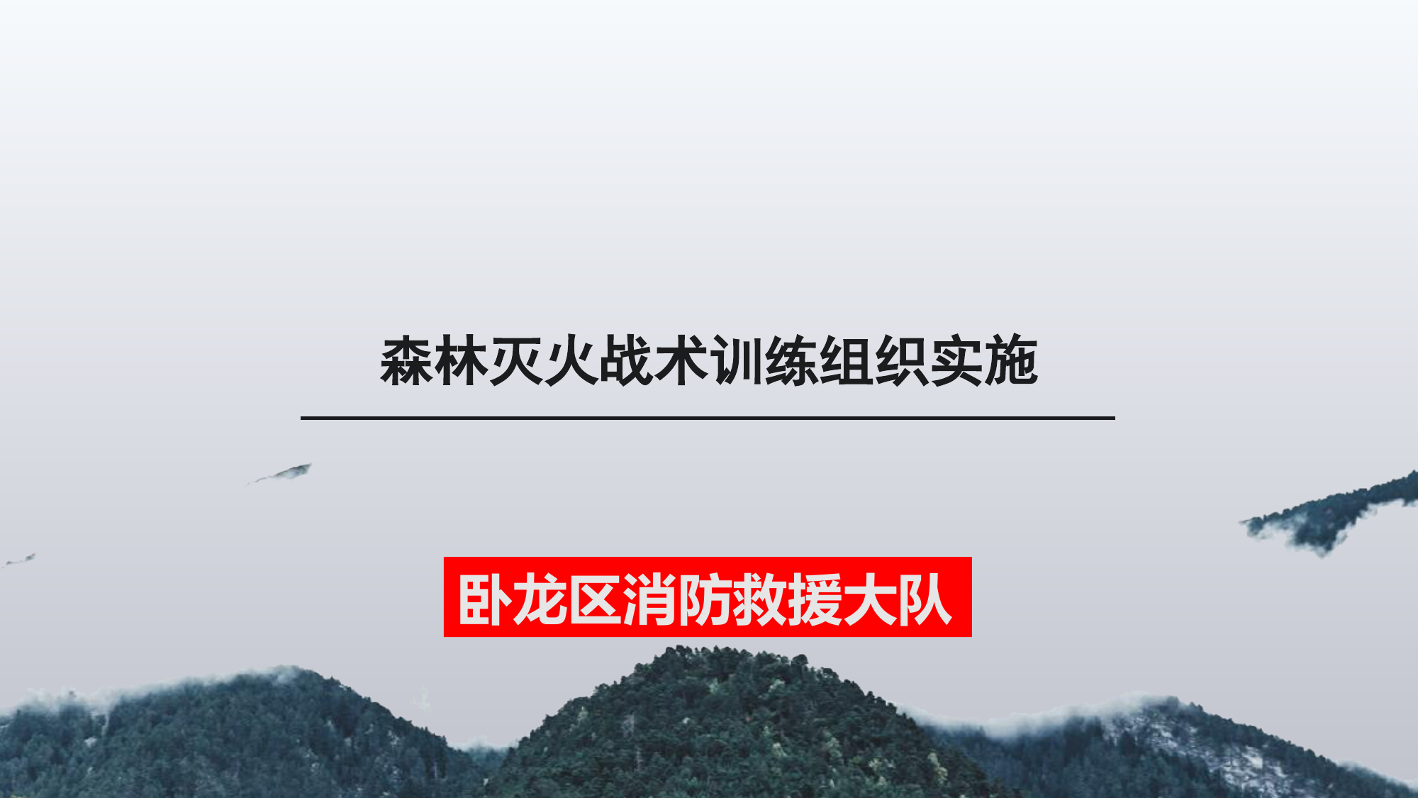 森林火灾灭火战术(1) 第1页