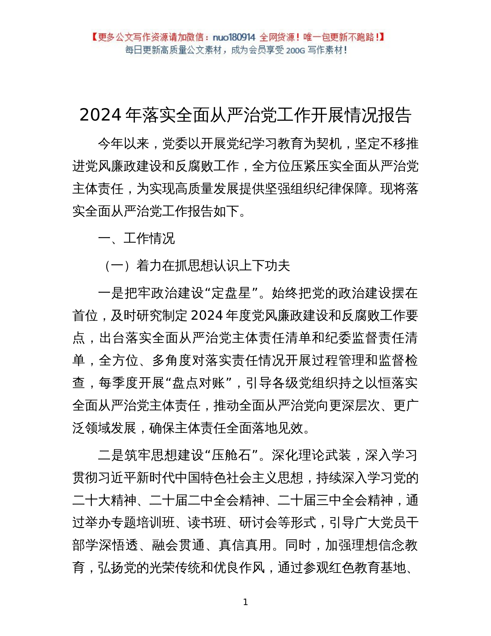 2024年落实全面从严治党工作开展情况报告 第1页
