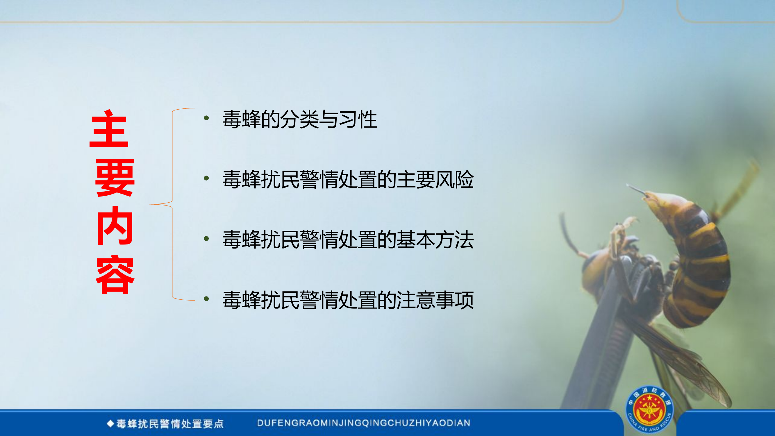 毒蜂扰民处置要点.pptx 第2页