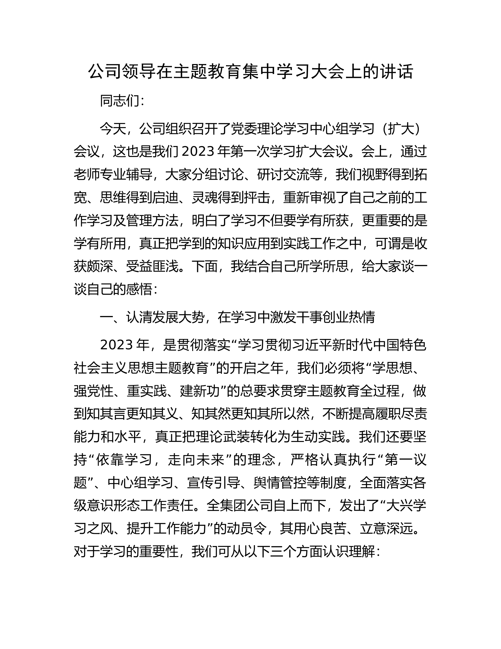 公司领导在主题教育集中学习大会上的讲话.docx 第1页