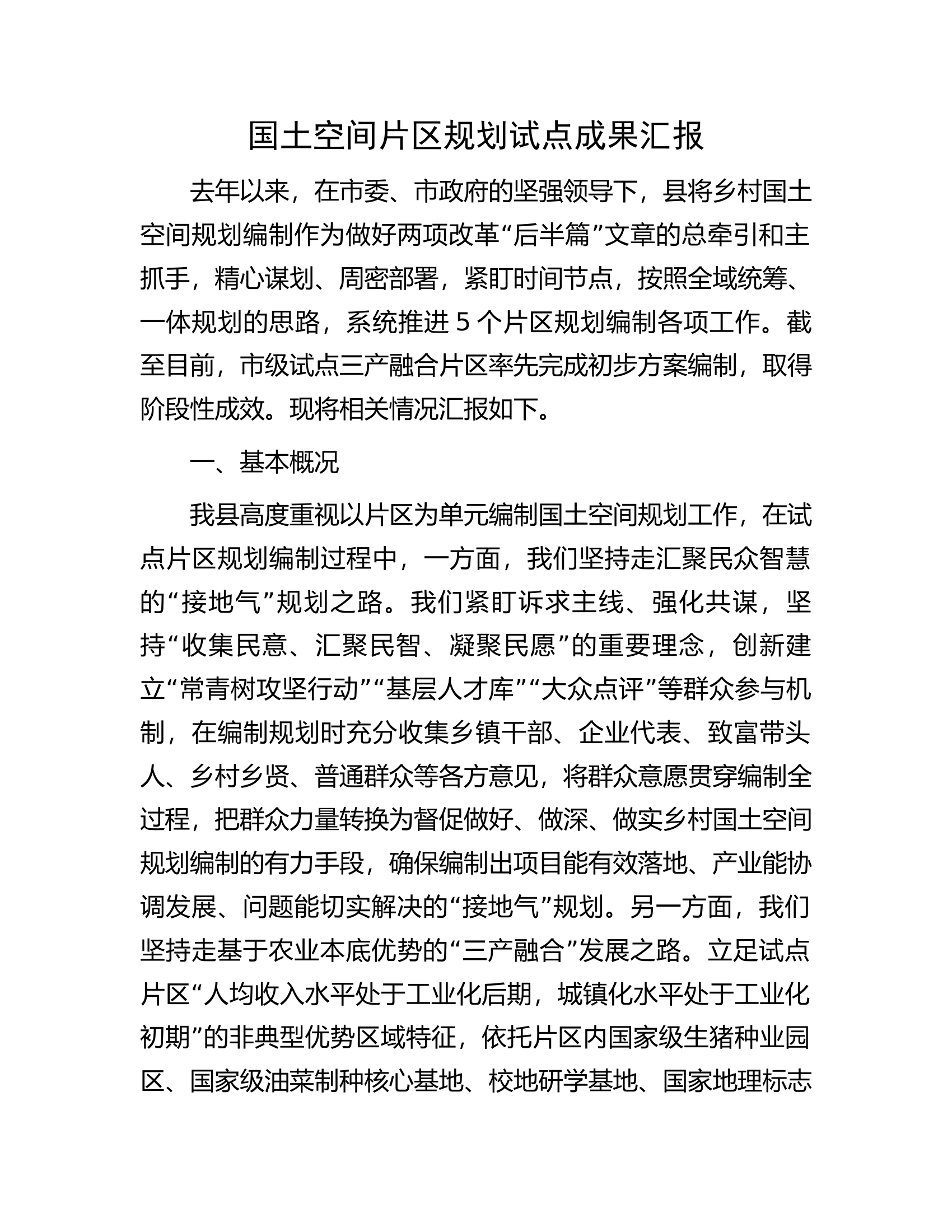 国土空间片区规划试点成果汇报.docx 第1页