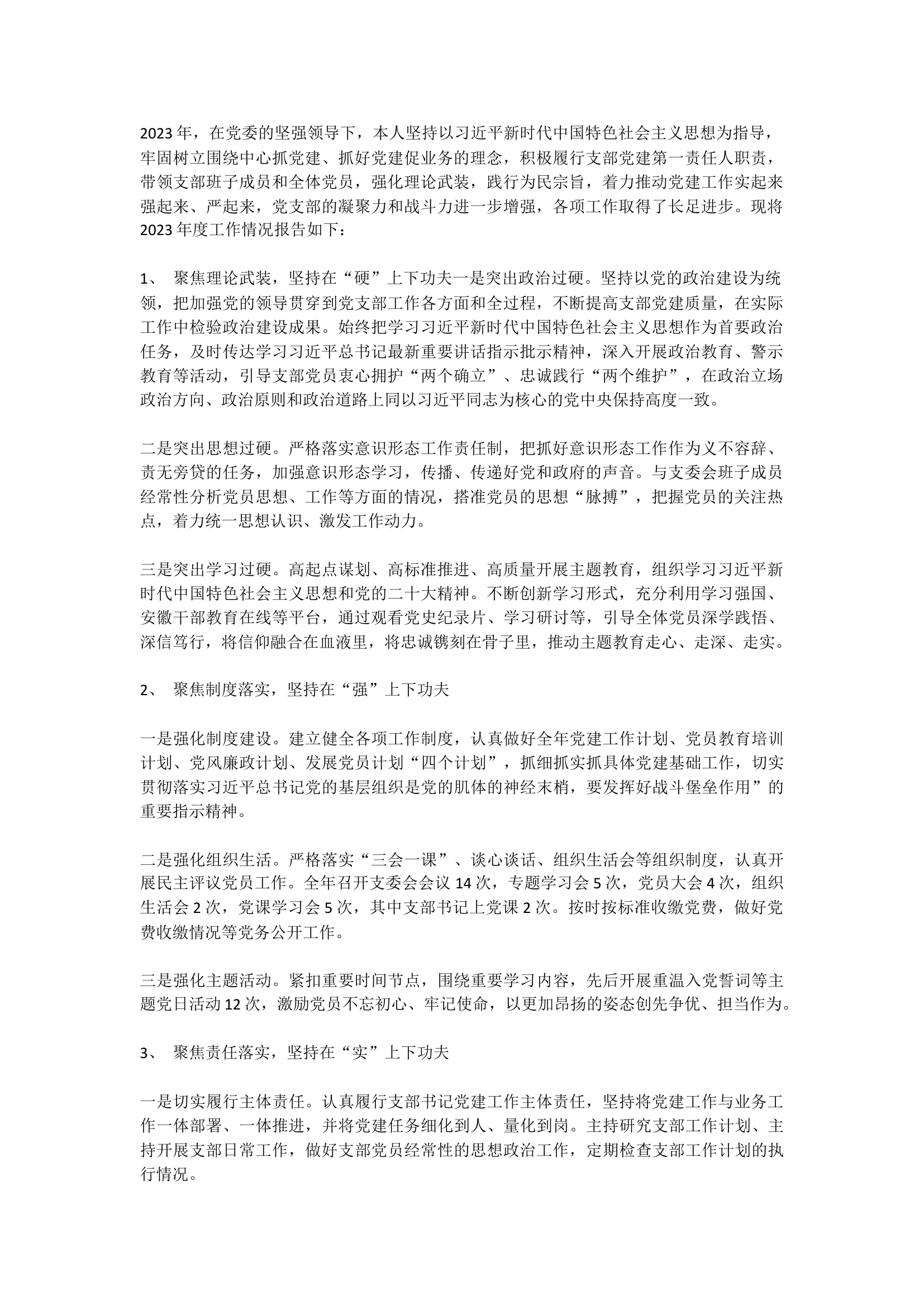 2023党支部书记基层党建工作述职报告.docx 第1页