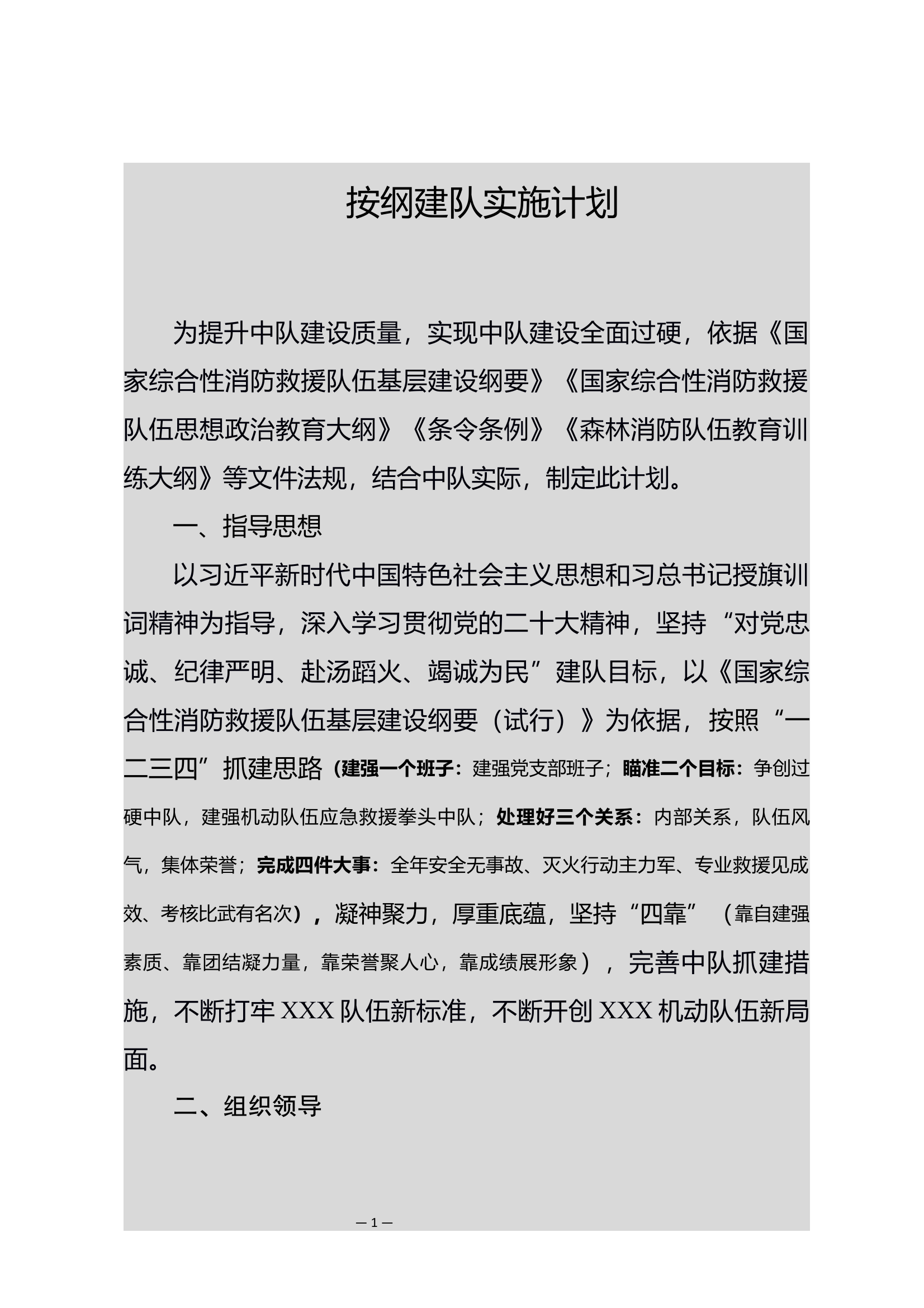 按纲建队实施计划 第1页