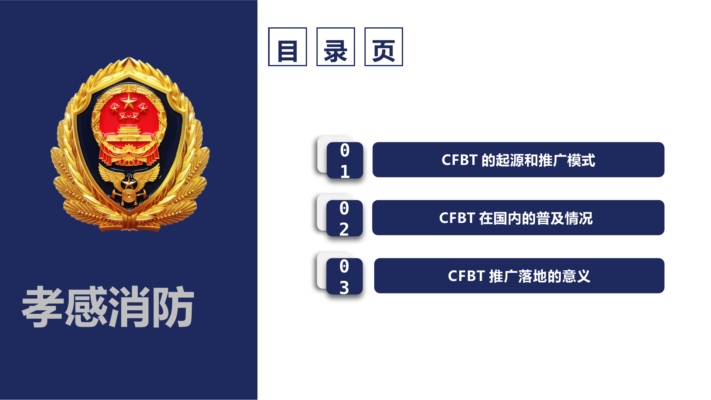 室内烟火特性训练概述.pptx 第2页