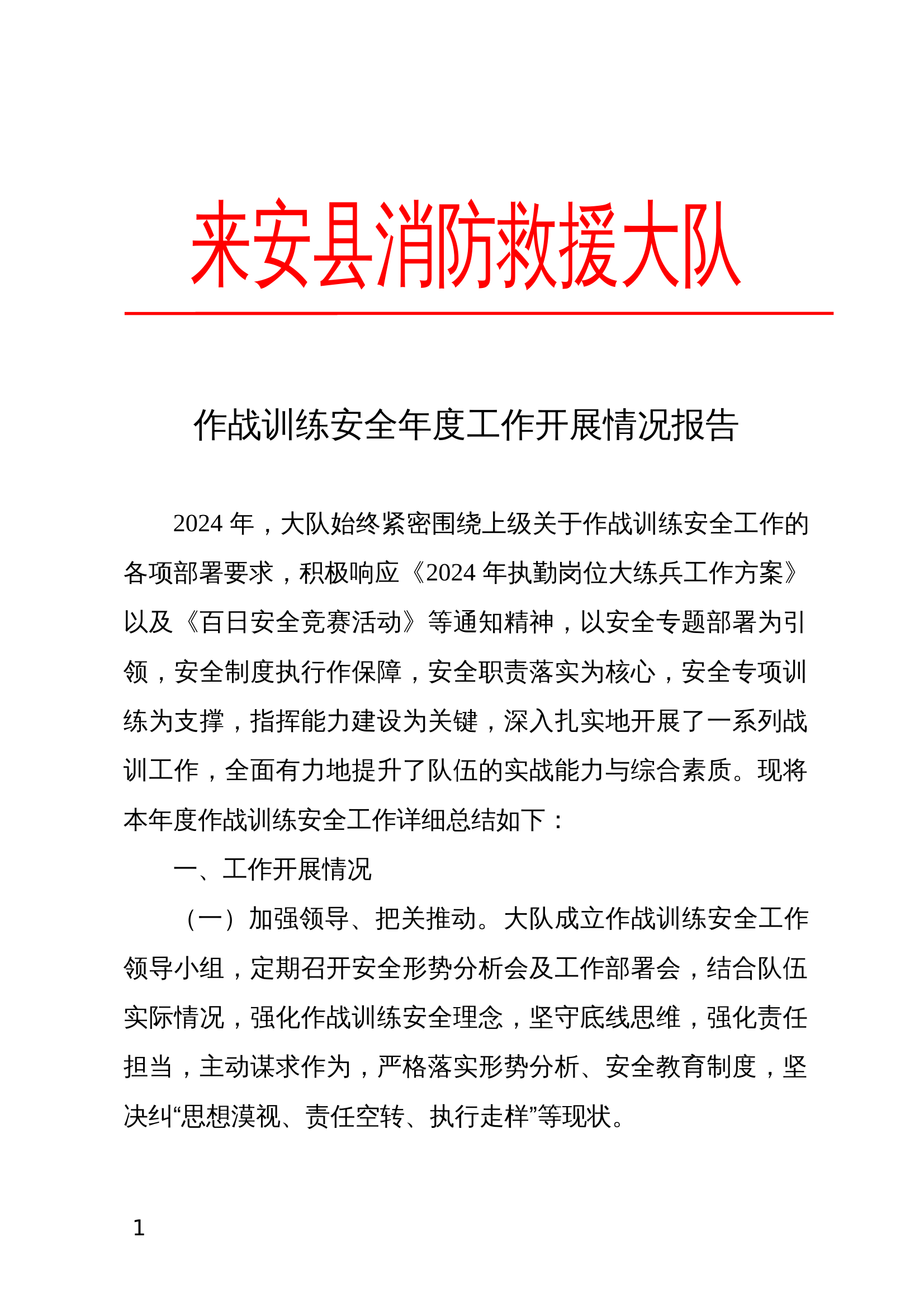 2024年大队作战训练安全专项工作总结 第1页