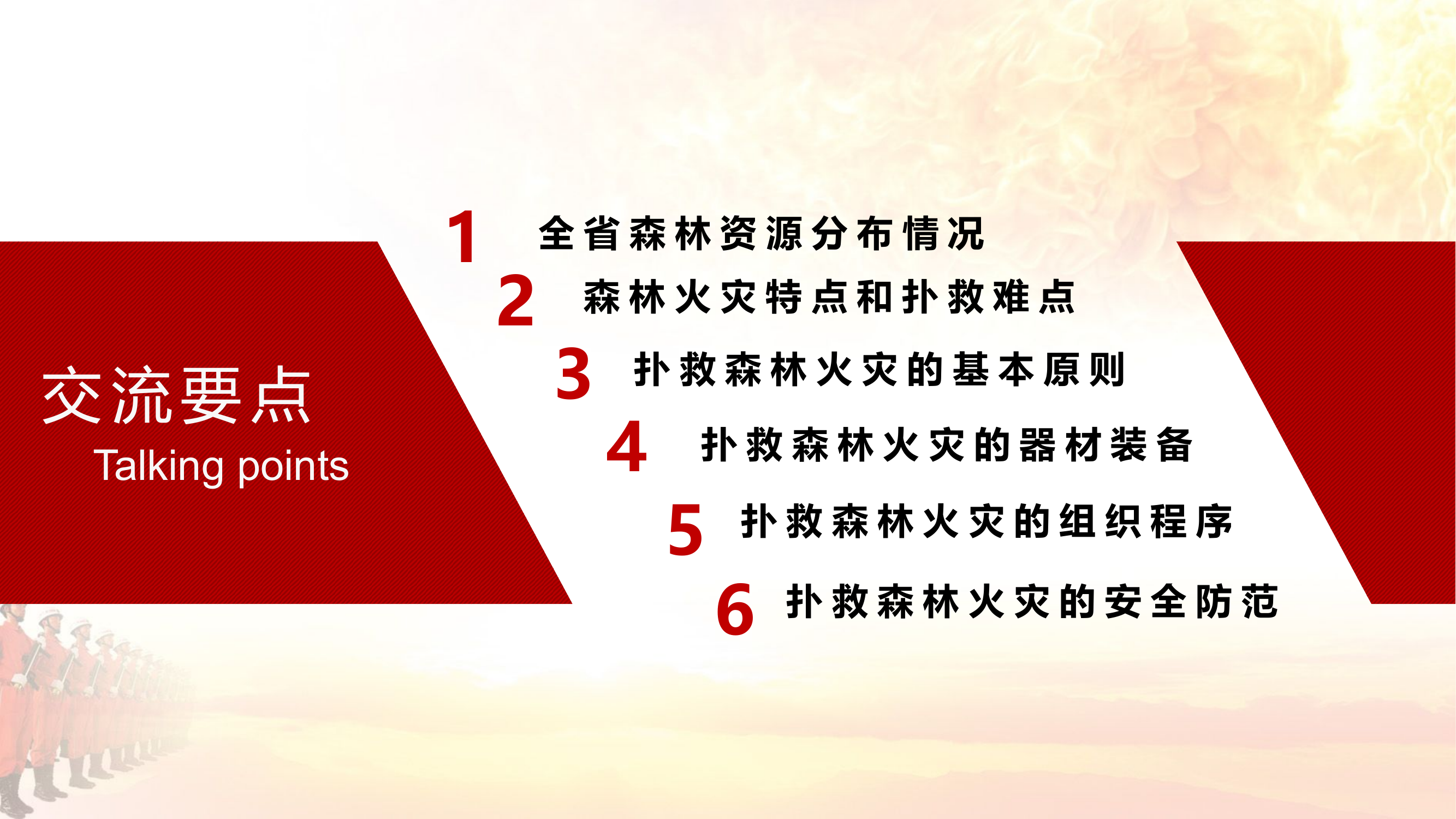 扑救森林火灾应把握的几个问题.pptx 第2页