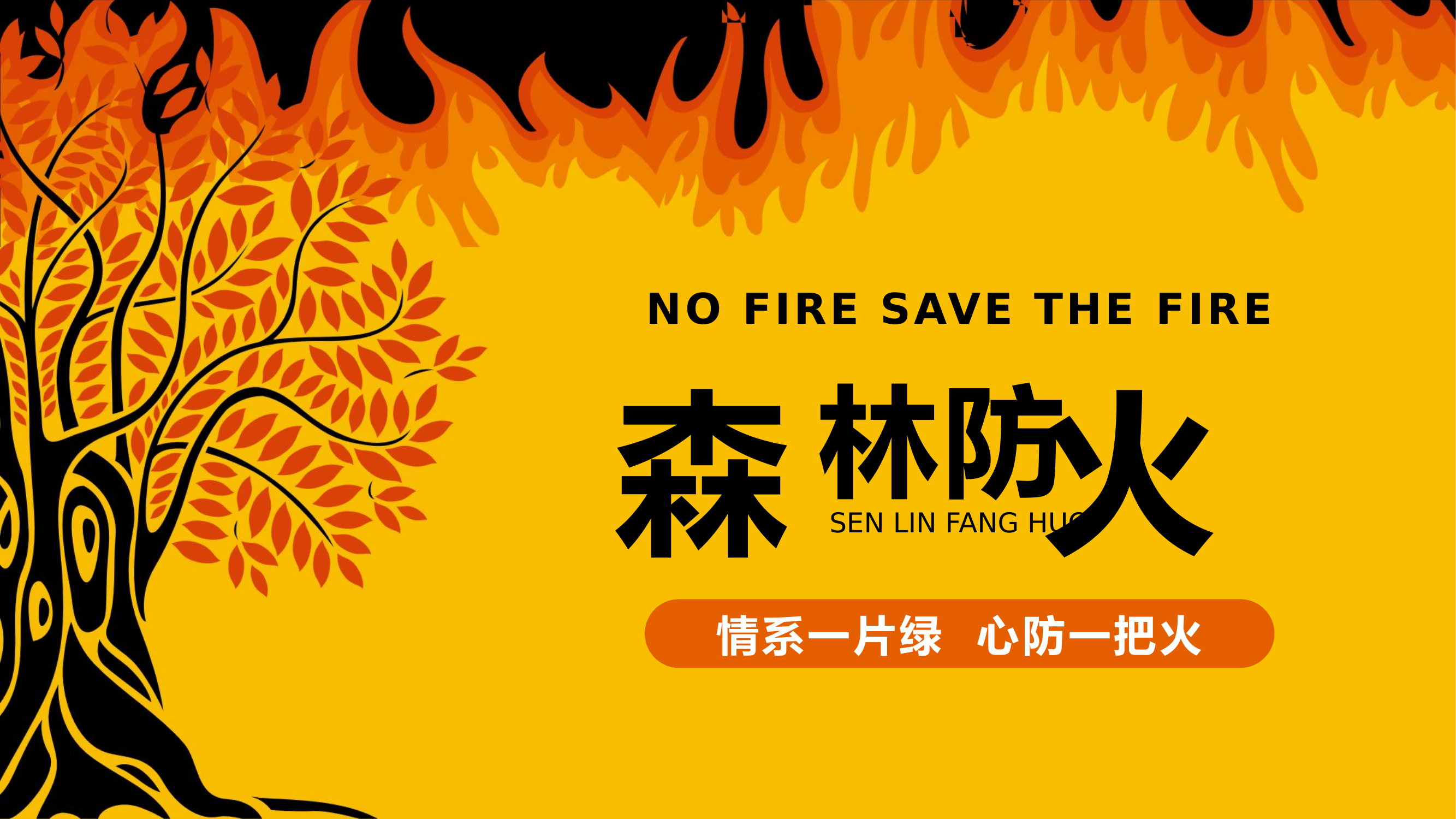 森林防火消防安全知识.pptx 第1页