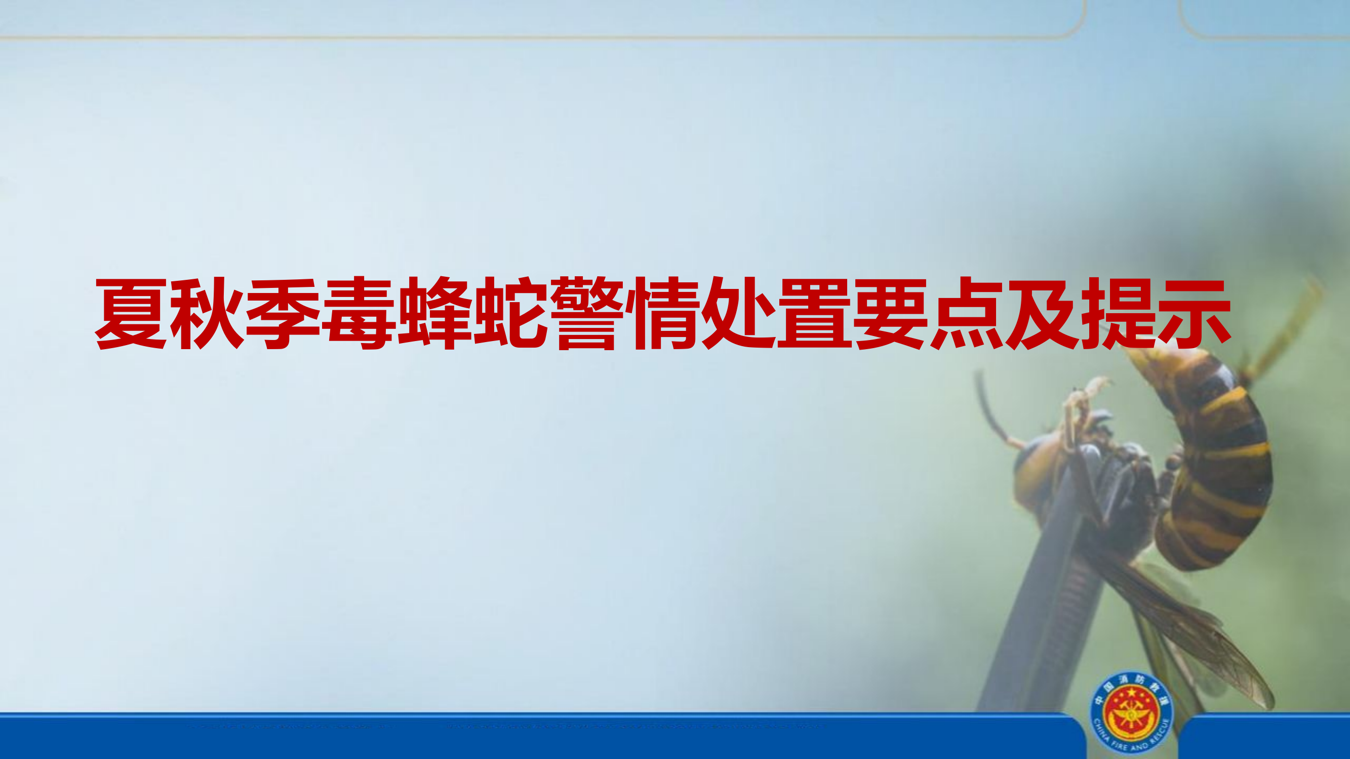 社会救助警情处置（毒蜂蛇）.pptx 第1页
