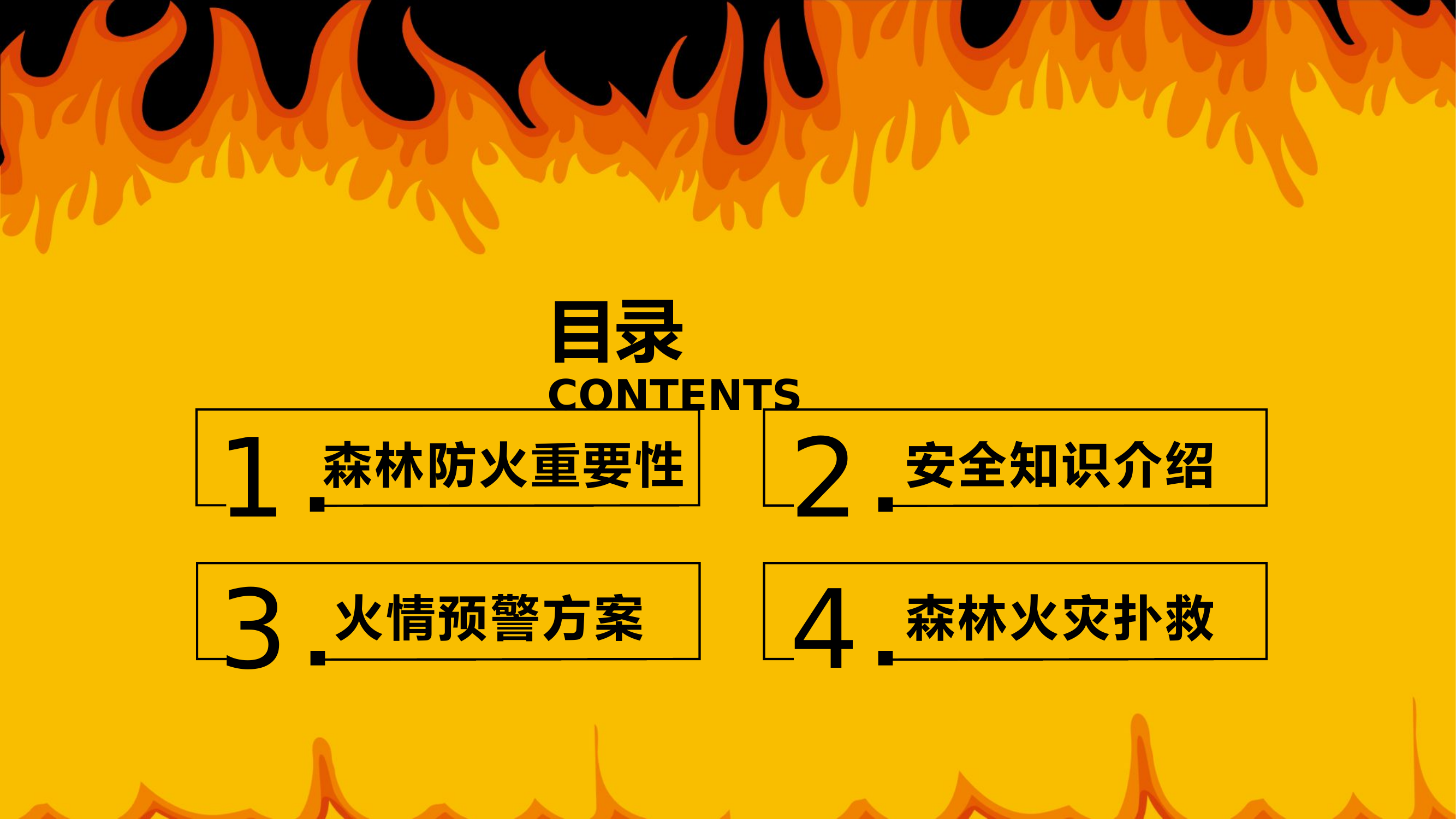森林防火消防安全知识.pptx 第2页