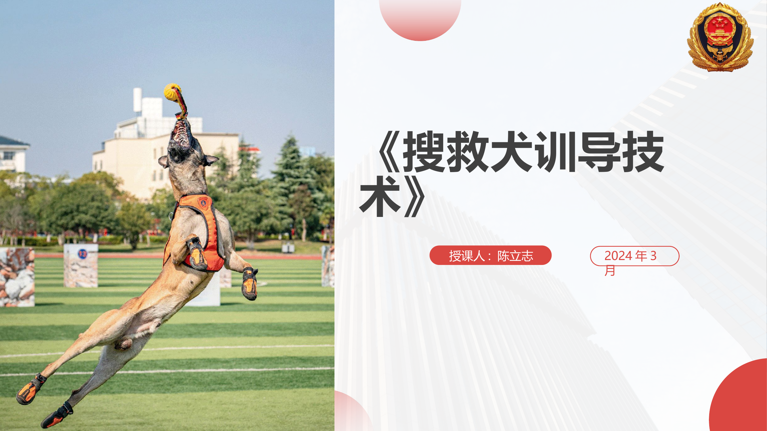 搜救犬训导技术.pptx 第1页