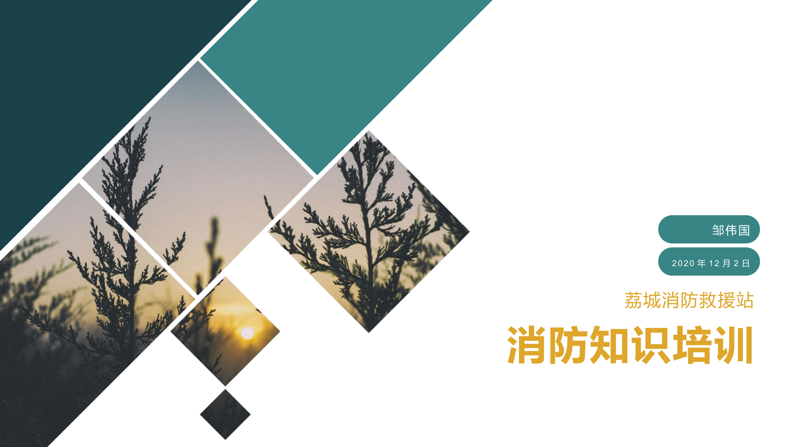 社会 小区 消防安全培训.pptx 第1页