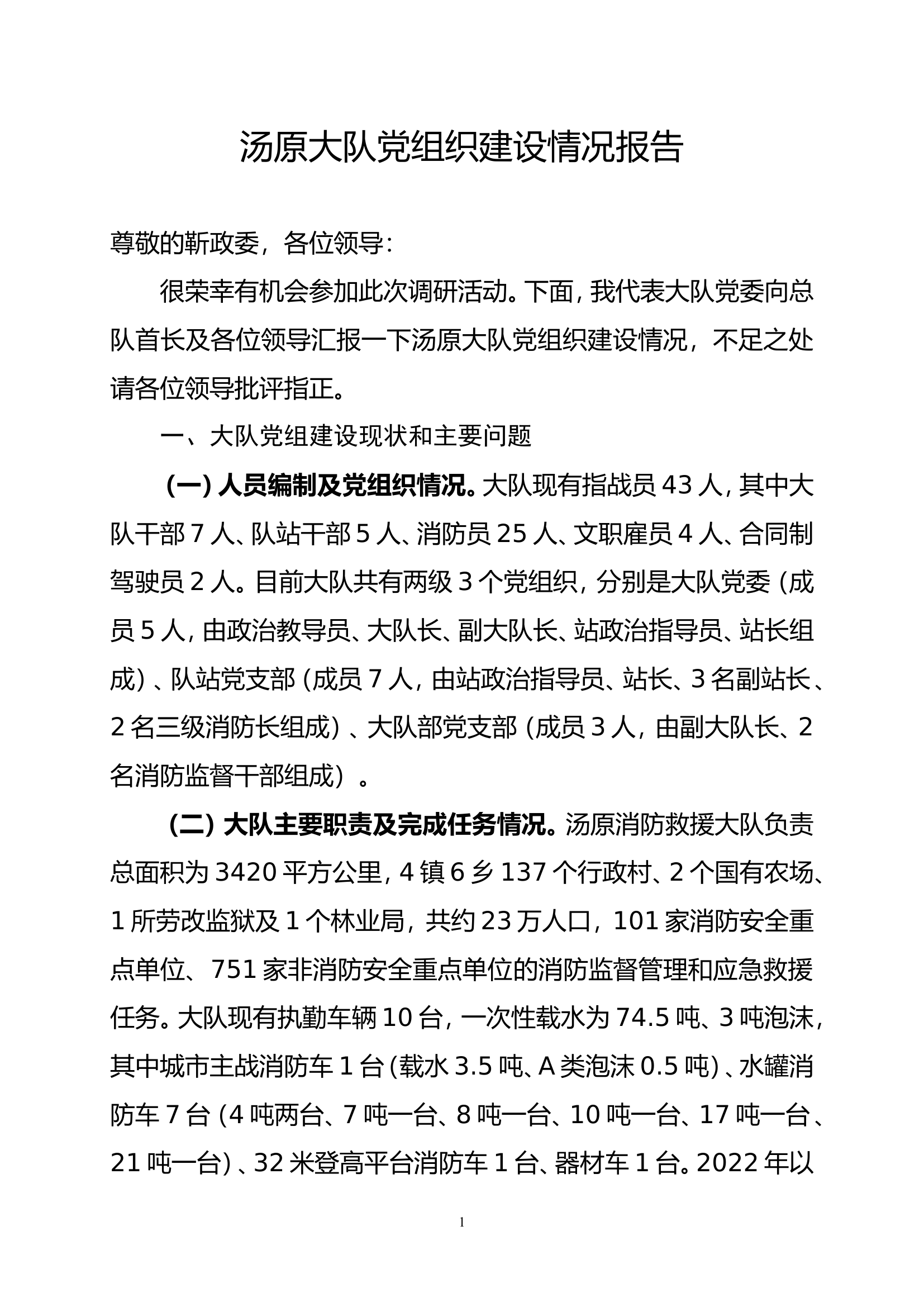 汤原大队汇报材料.doc 第1页