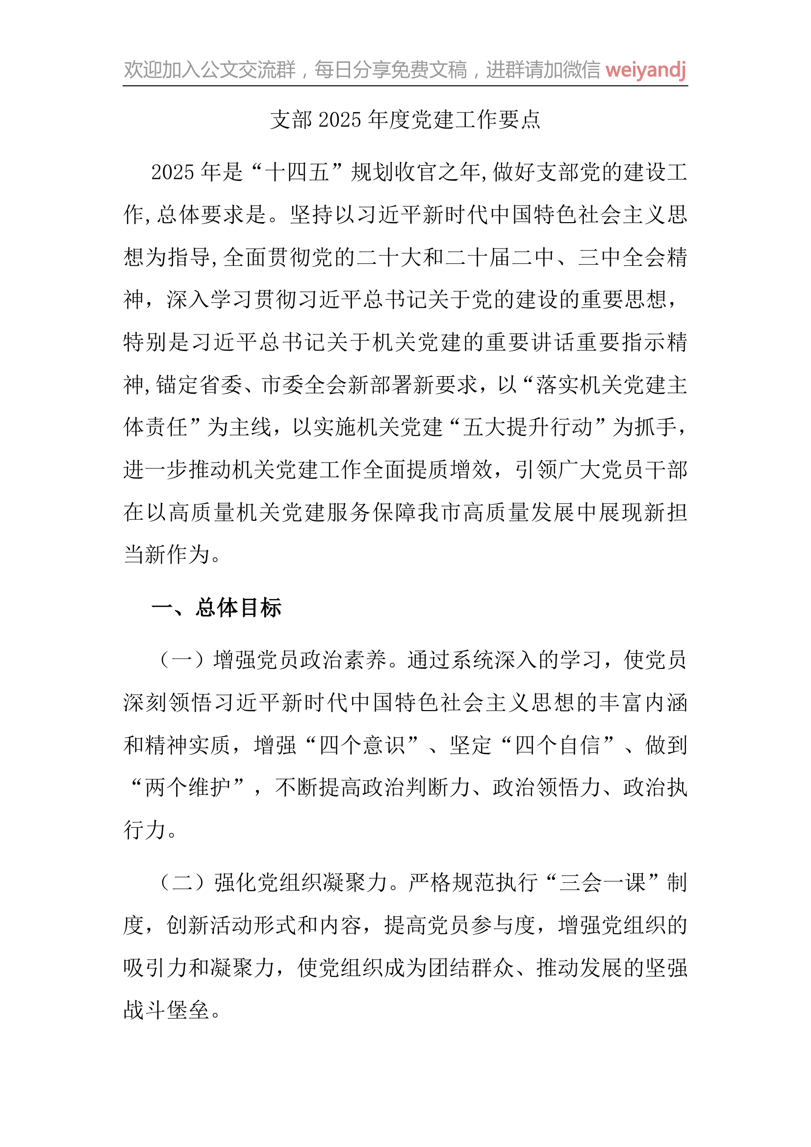 支部2025年度党建工作要点 第1页