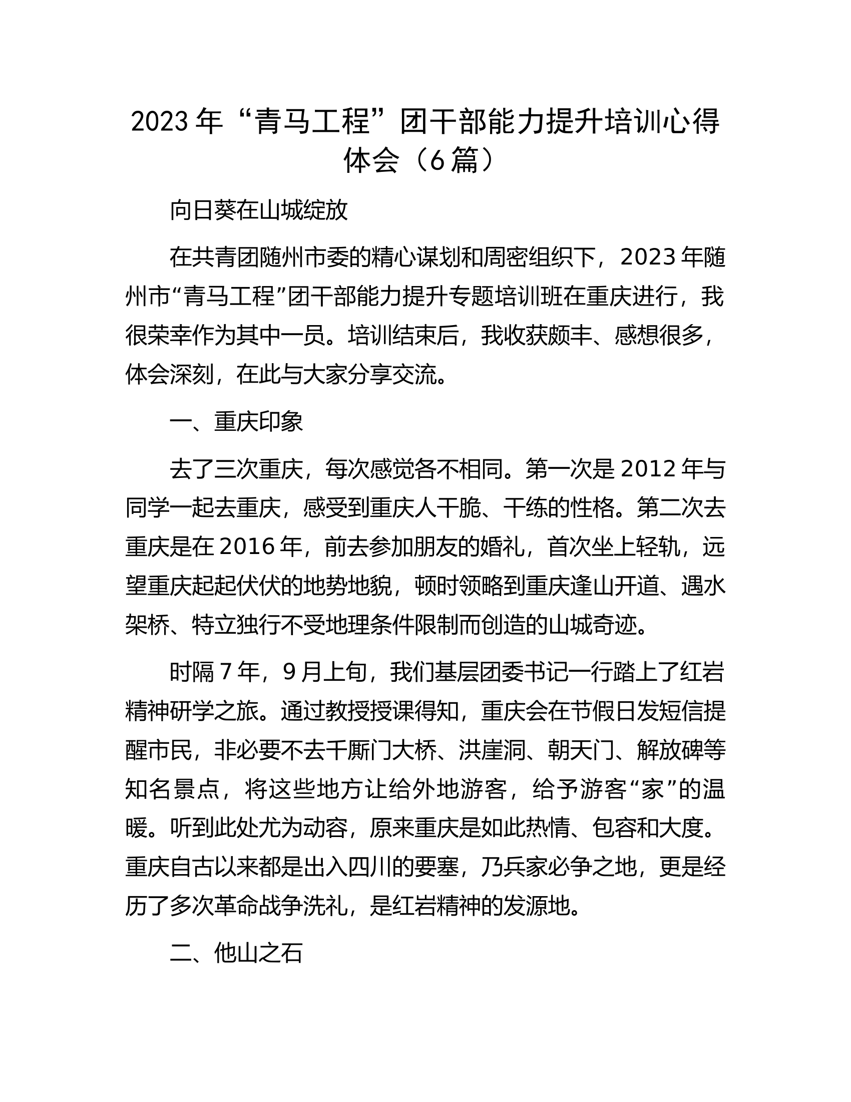 2023年&ldquo;青马工程&rdquo;团干部能力提升培训心得体会（6篇）.docx 第1页