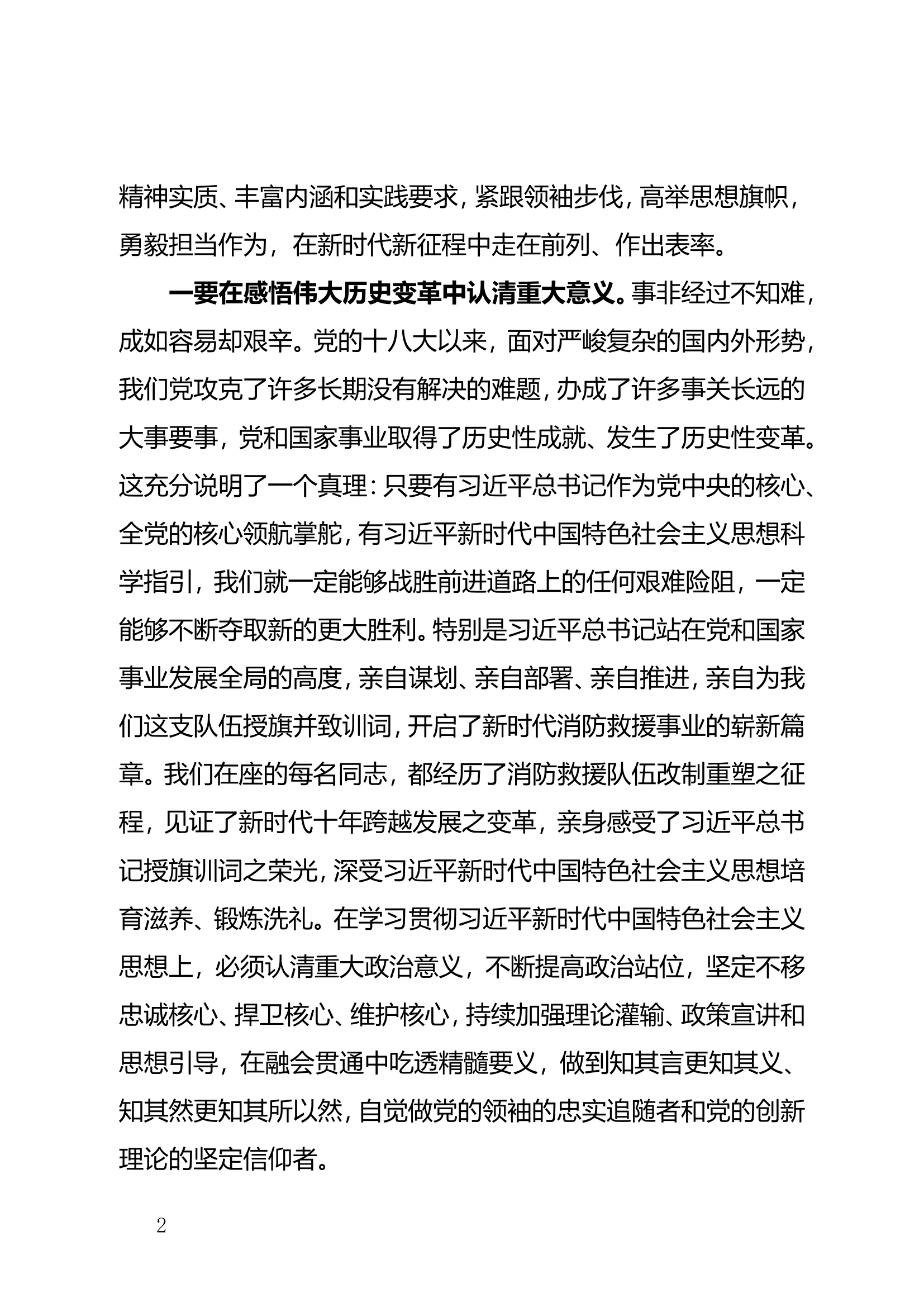 精品：d主题教育研讨材料9000字高举旗帜走在前列  步调一致踔厉奋发.doc 第2页
