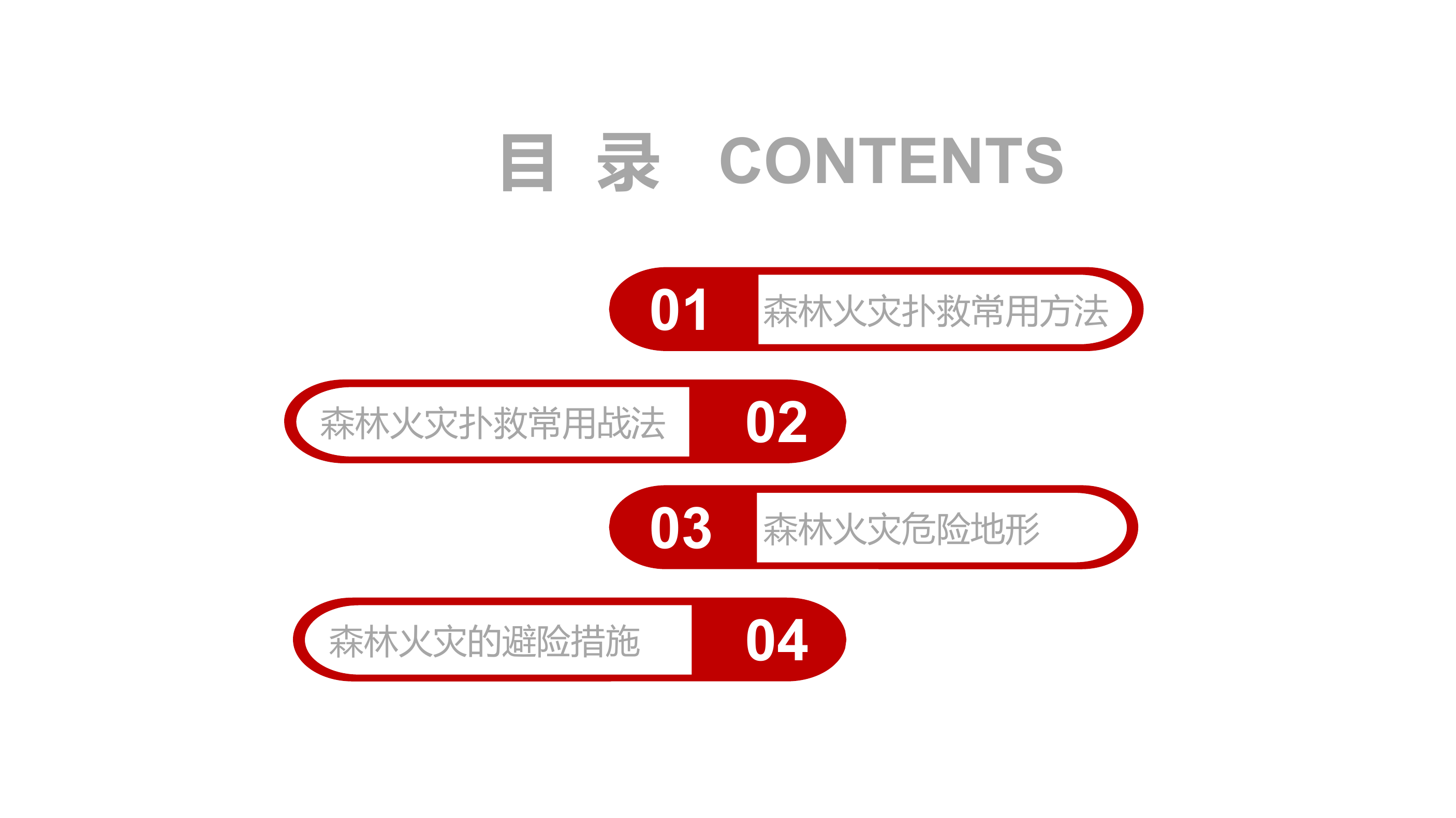 森林火灾扑救注意事项.pptx 第2页