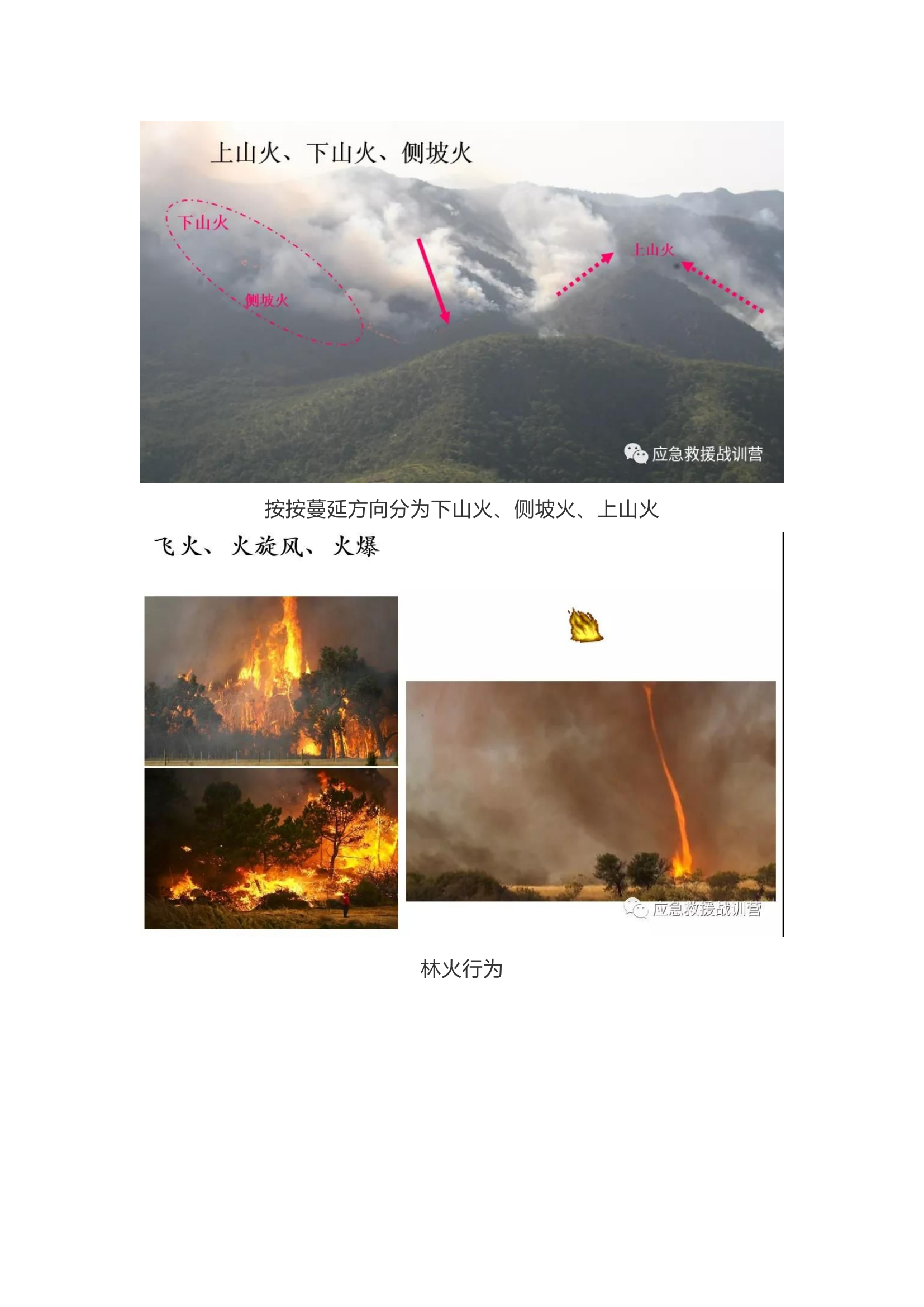 认识森林火灾，常用扑救方式及战术.docx 第2页