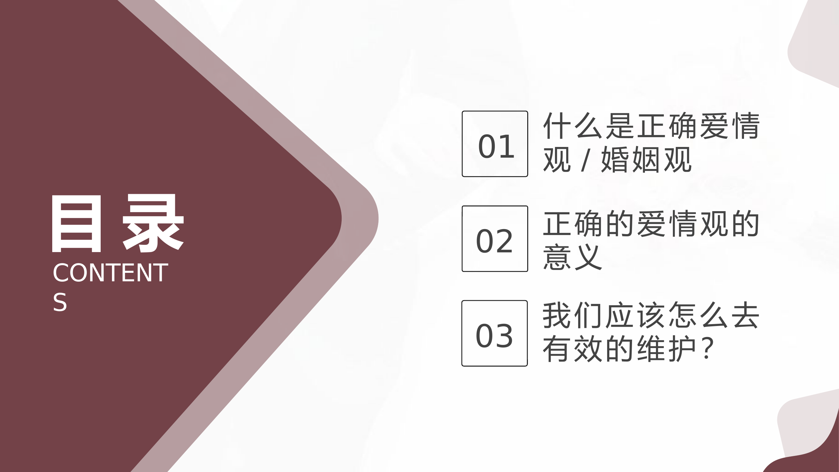 2023主题教育课件PPT：爱情观和婚姻观.pptx 第2页