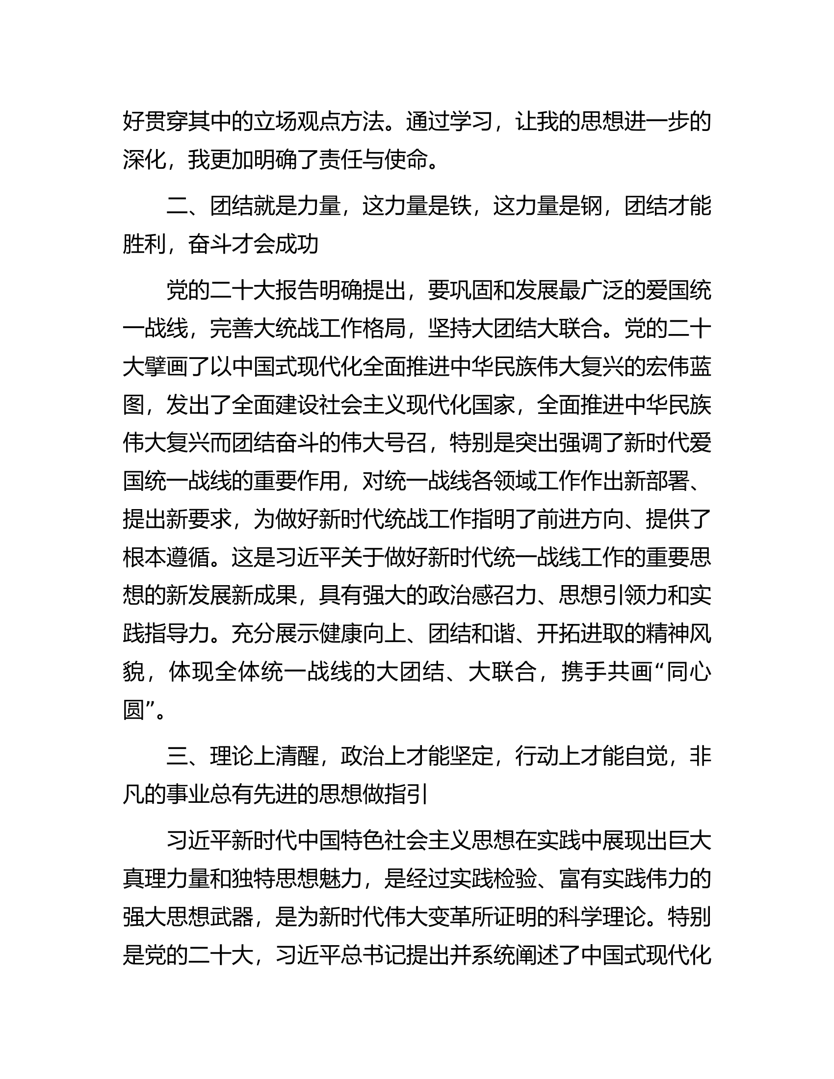 研讨发言：大统战画出最大同心圆.docx 第2页