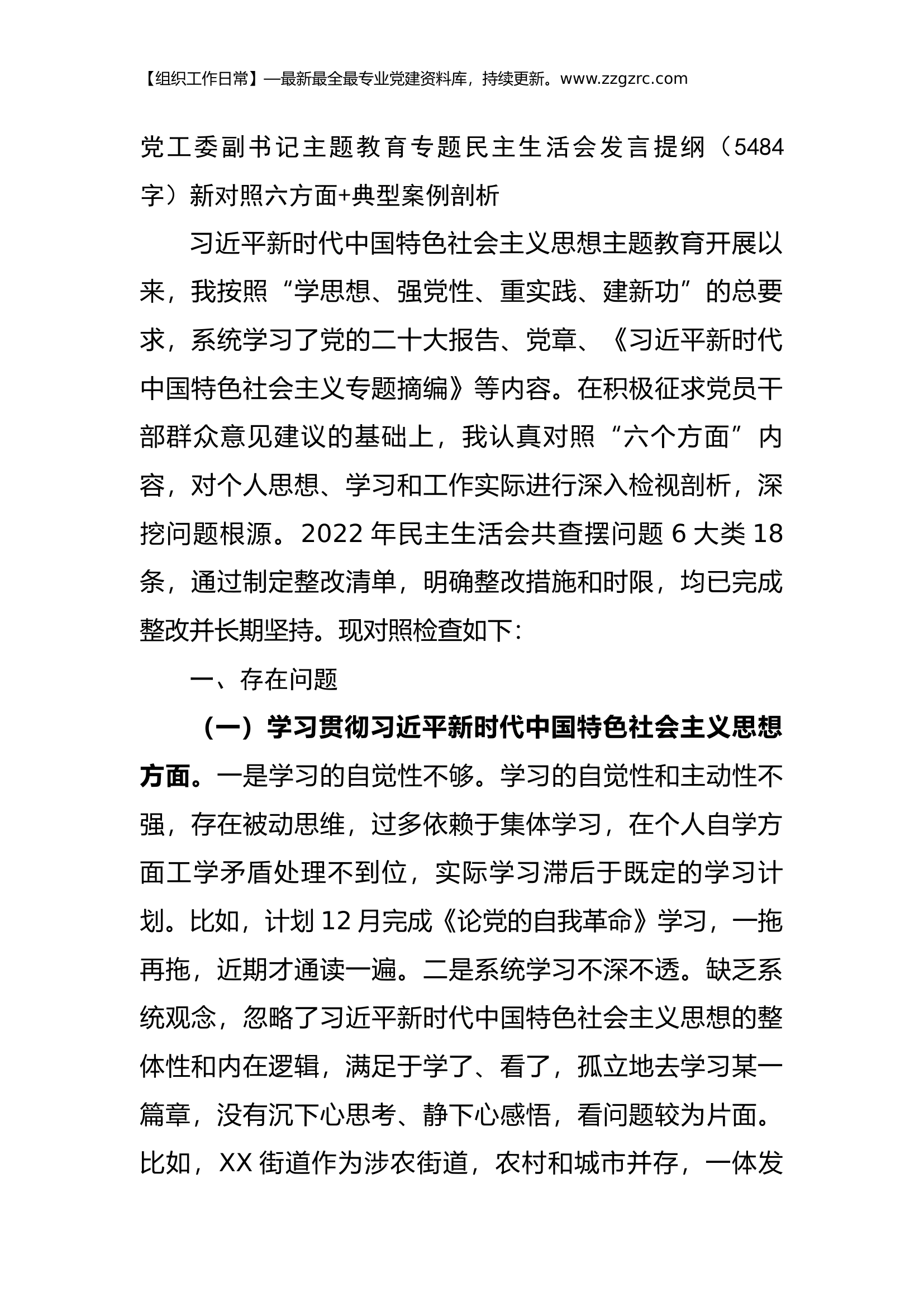 党工委副书记主题教育专题民主生活会发言提纲（践行宗旨等6个方面+典型案例剖析）.docx 第1页