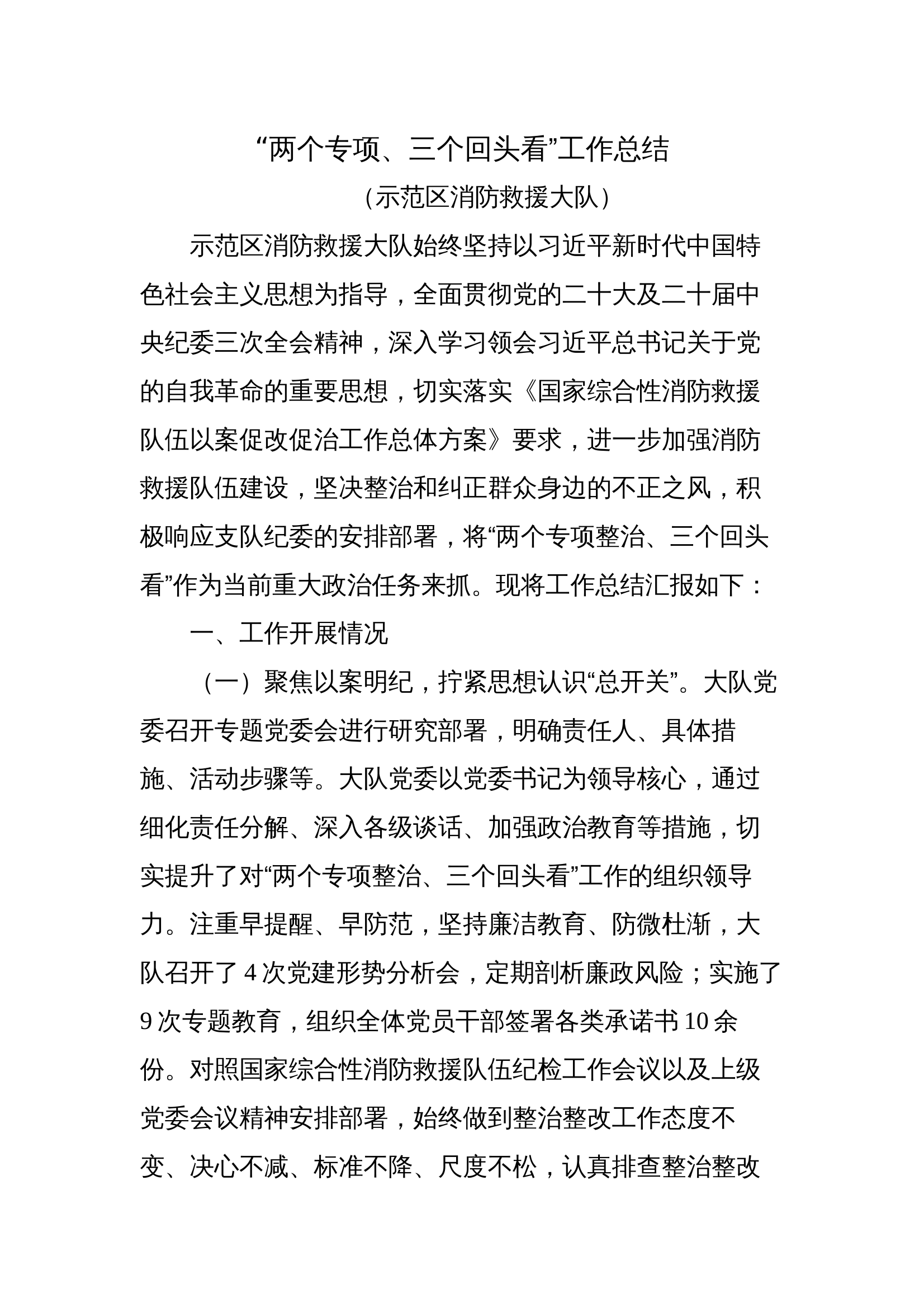 示范区大队“两个专项、三个回头看”工作总结 第1页