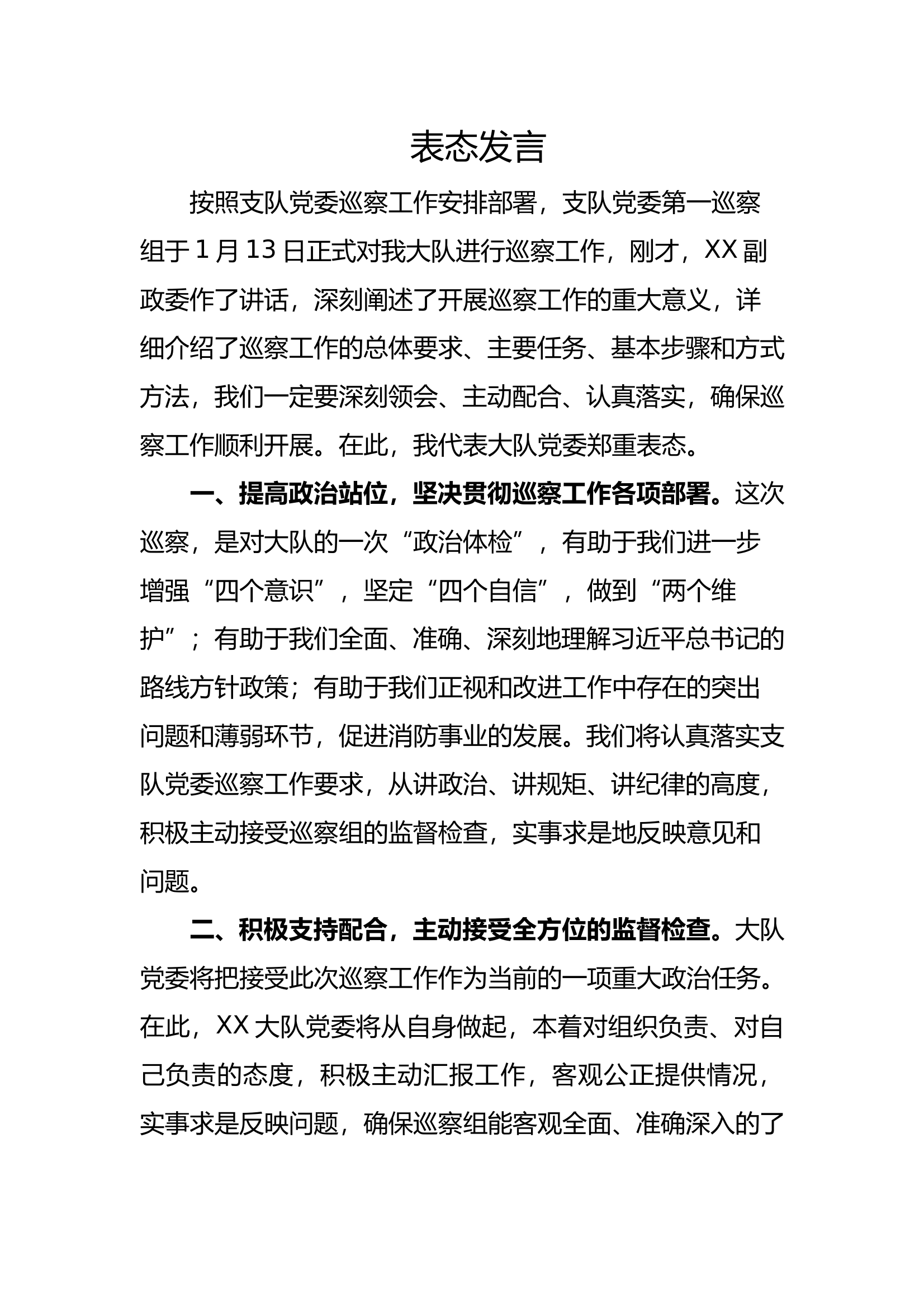 2025年支队巡察大队问题整改表态发言 第1页